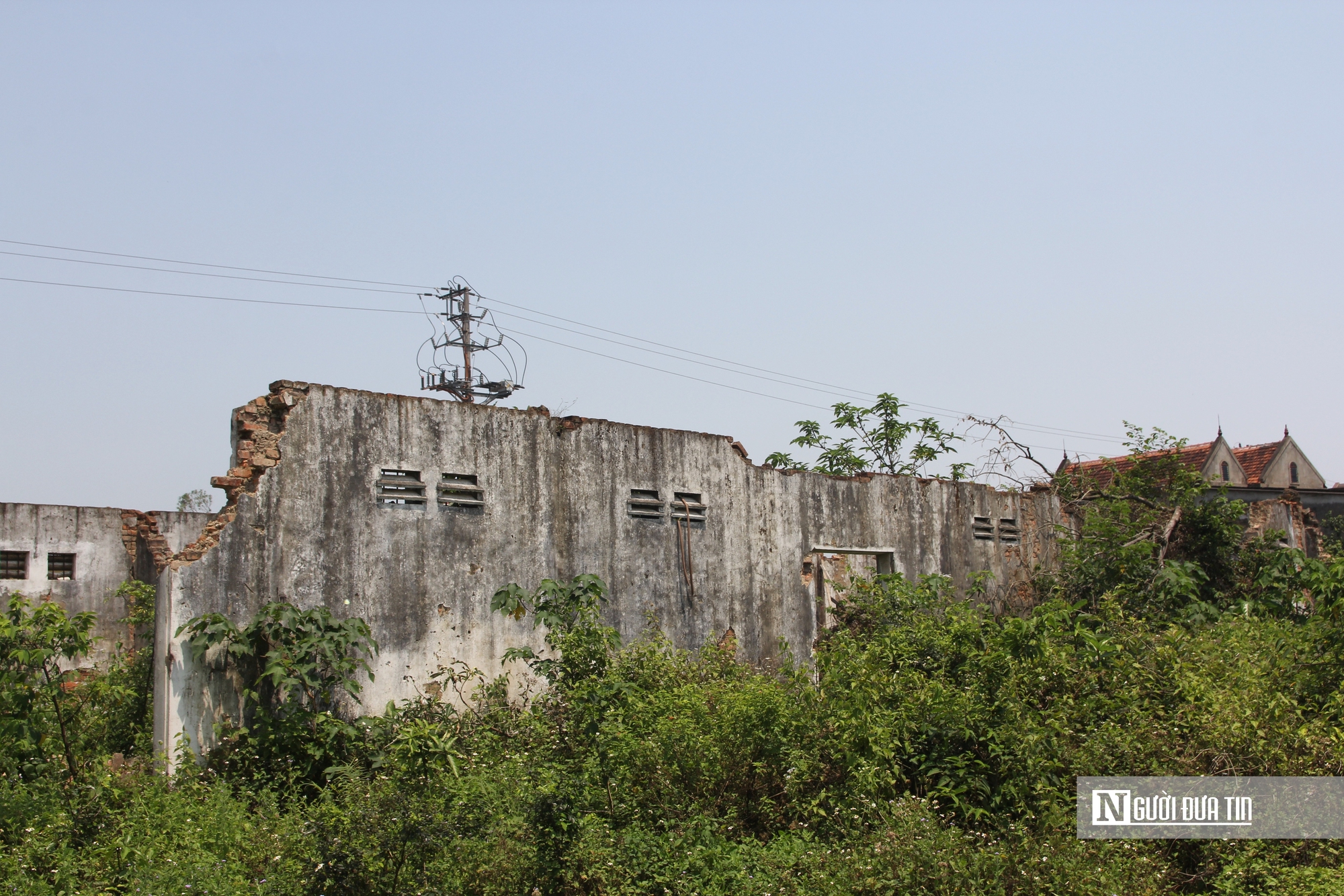 Cận cảnh khu đất v&agrave;ng bỏ hoang, g&acirc;y l&atilde;ng ph&iacute; t&agrave;i nguy&ecirc;n, mất mỹ quan đ&ocirc; thị - Ảnh 11.