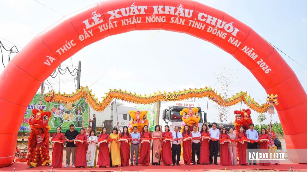 Đồng Nai xuất khẩu 220 tấn chuối, mở rộng thị trường n&ocirc;ng sản năm 2026 - Ảnh 2.