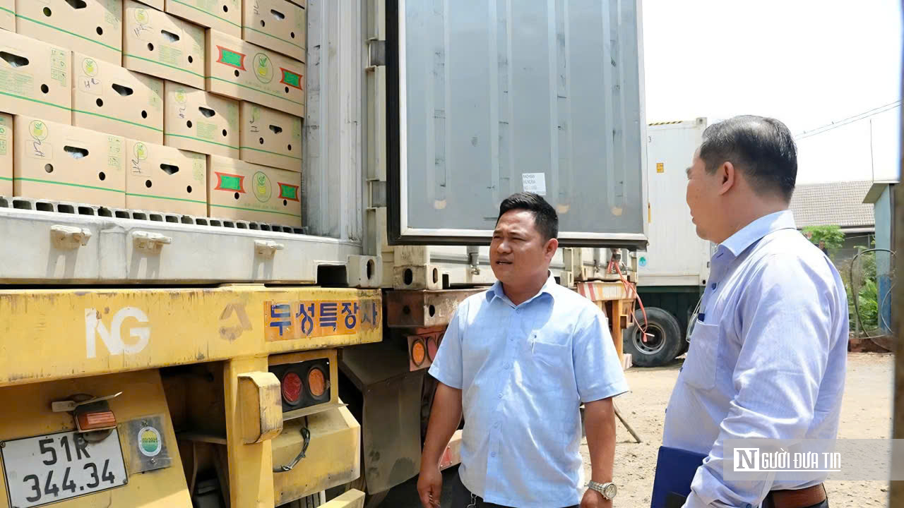 Đồng Nai xuất khẩu 220 tấn chuối, mở rộng thị trường n&ocirc;ng sản năm 2026 - Ảnh 3.
