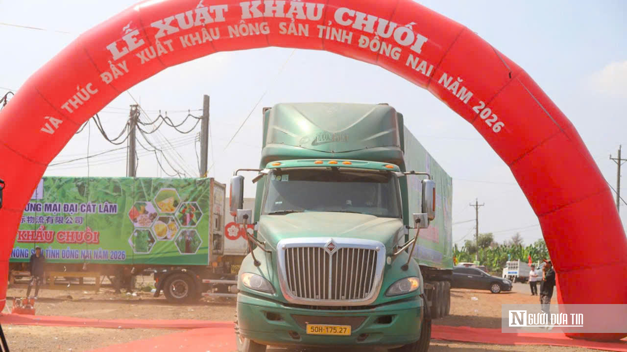 Đồng Nai xuất khẩu 220 tấn chuối, mở rộng thị trường n&ocirc;ng sản năm 2026 - Ảnh 4.