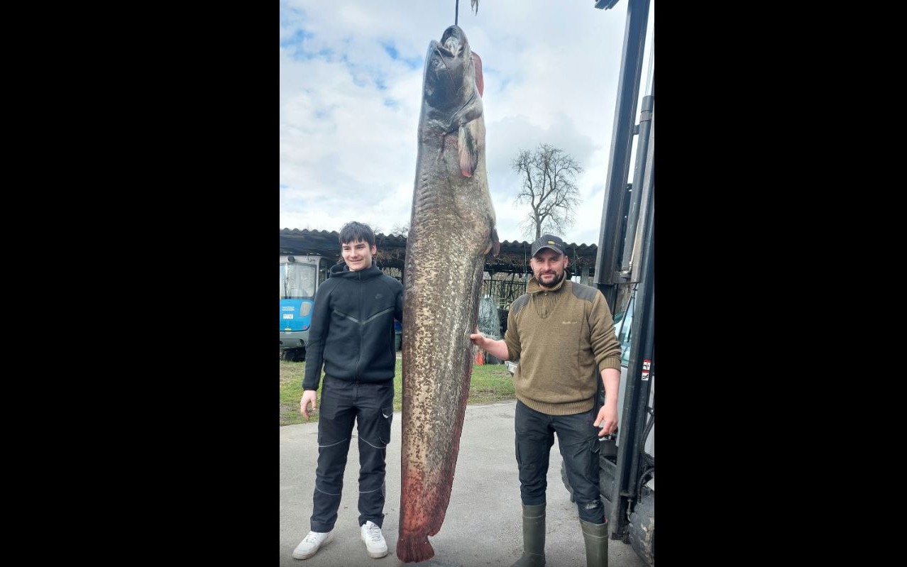 Cầm dao xông vào quán bar, tên cướp hét lên "đưa tiền đây" và cái kết bất ngờ - Ảnh 2.