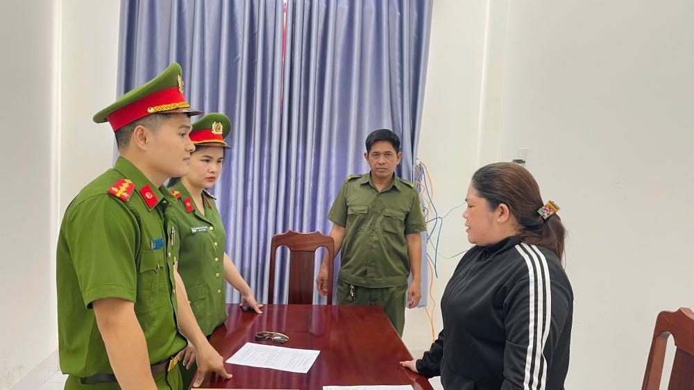 Bắt nữ giám đốc công ty xây dựng trốn thuế hơn 700 triệu đồng - Ảnh 1.