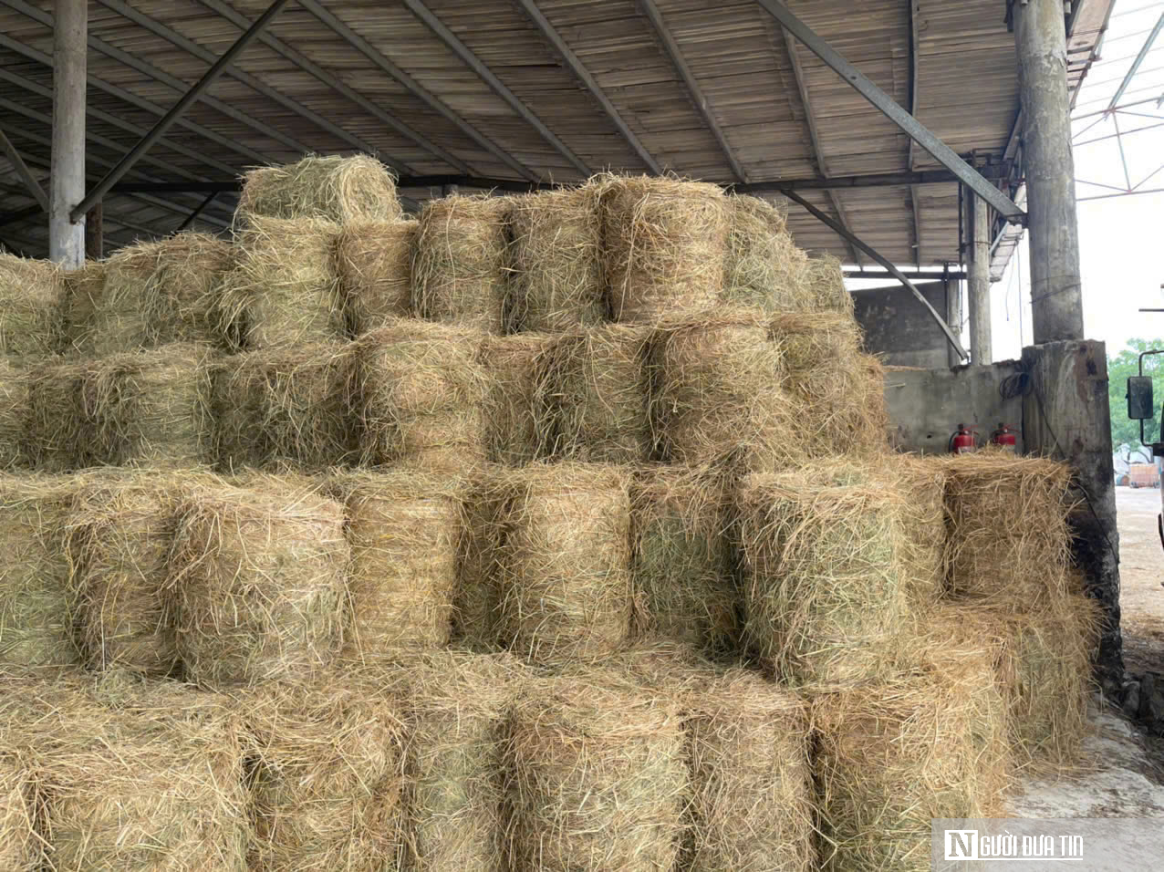 Cách giúp nông dân không phải vất vả xử lý rơm rạ mà vẫn có thu nhập- Ảnh 4.