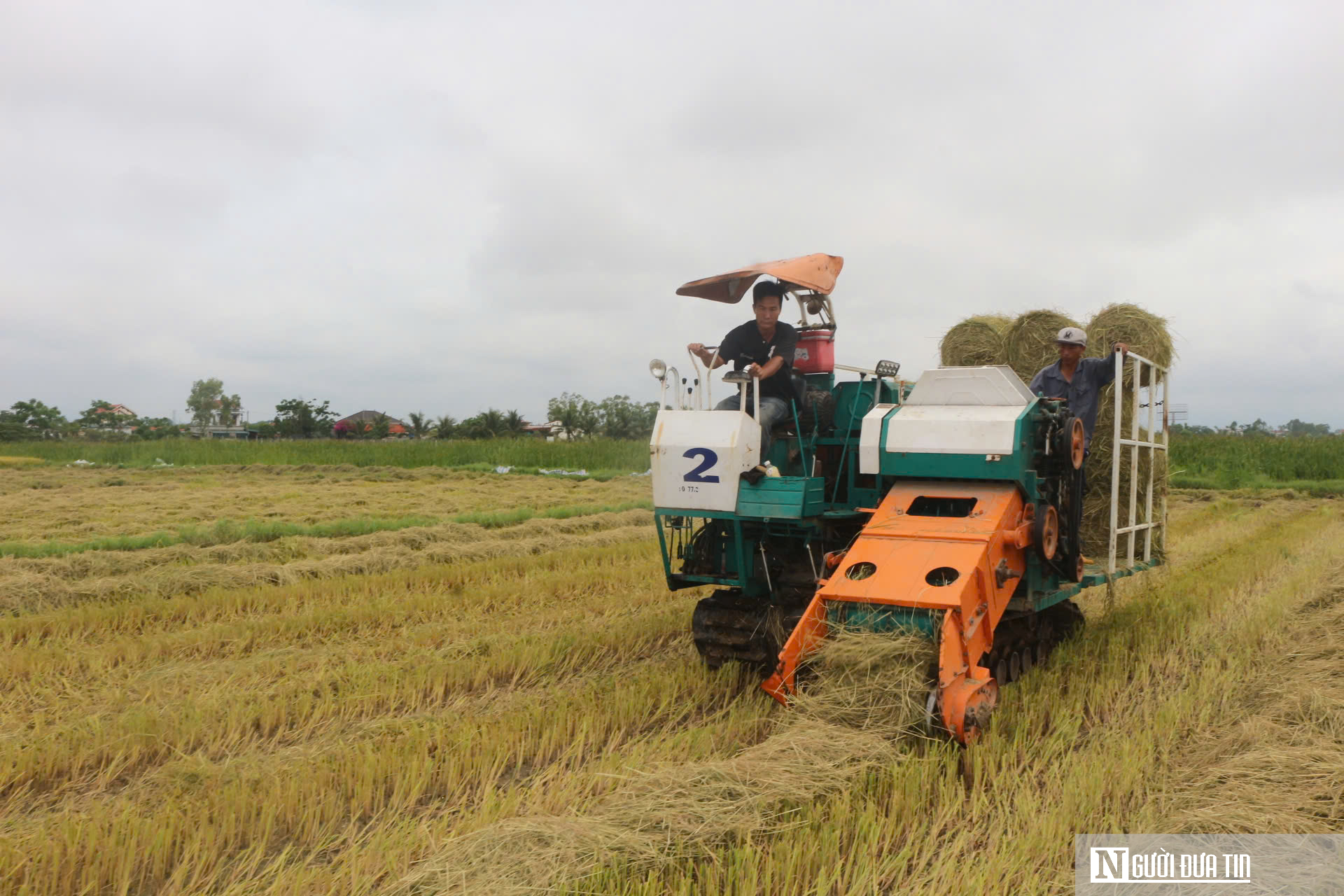 Cách giúp nông dân không phải vất vả xử lý rơm rạ mà vẫn có thu nhập- Ảnh 1.