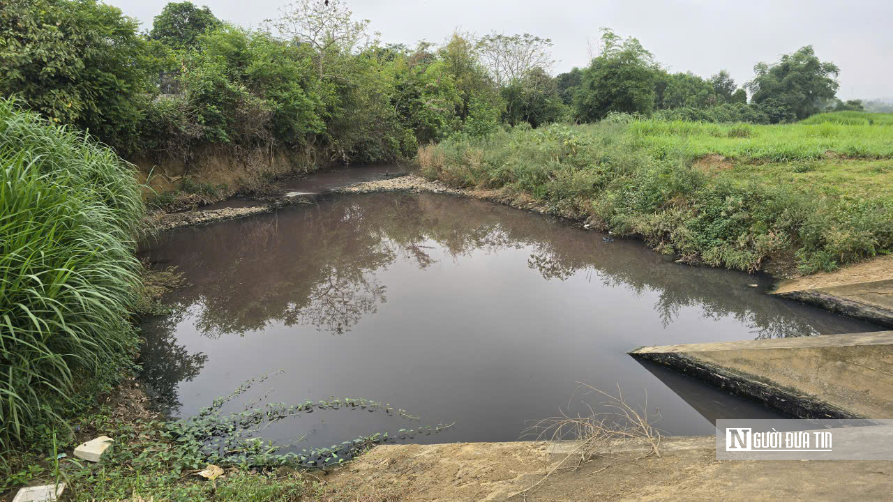Vụ nước giếng khoan chuyển màu tím: Tạm dừng hoạt động giặt là nhà máy may- Ảnh 2.