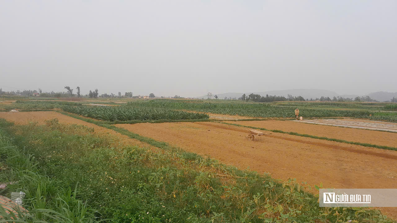 Nghệ An: &ldquo;Chờ&rdquo; giải ph&oacute;ng mặt bằng, c&ocirc;ng tr&igrave;nh cầu trăm tỷ chưa thể th&ocirc;ng tuyến- Ảnh 4.