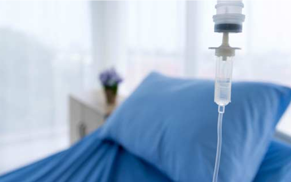Lạng Sơn: 8 Bệnh Nhân Nhiễm Độc Do Ong Rừng Đốt Đã Được Xuất Viện