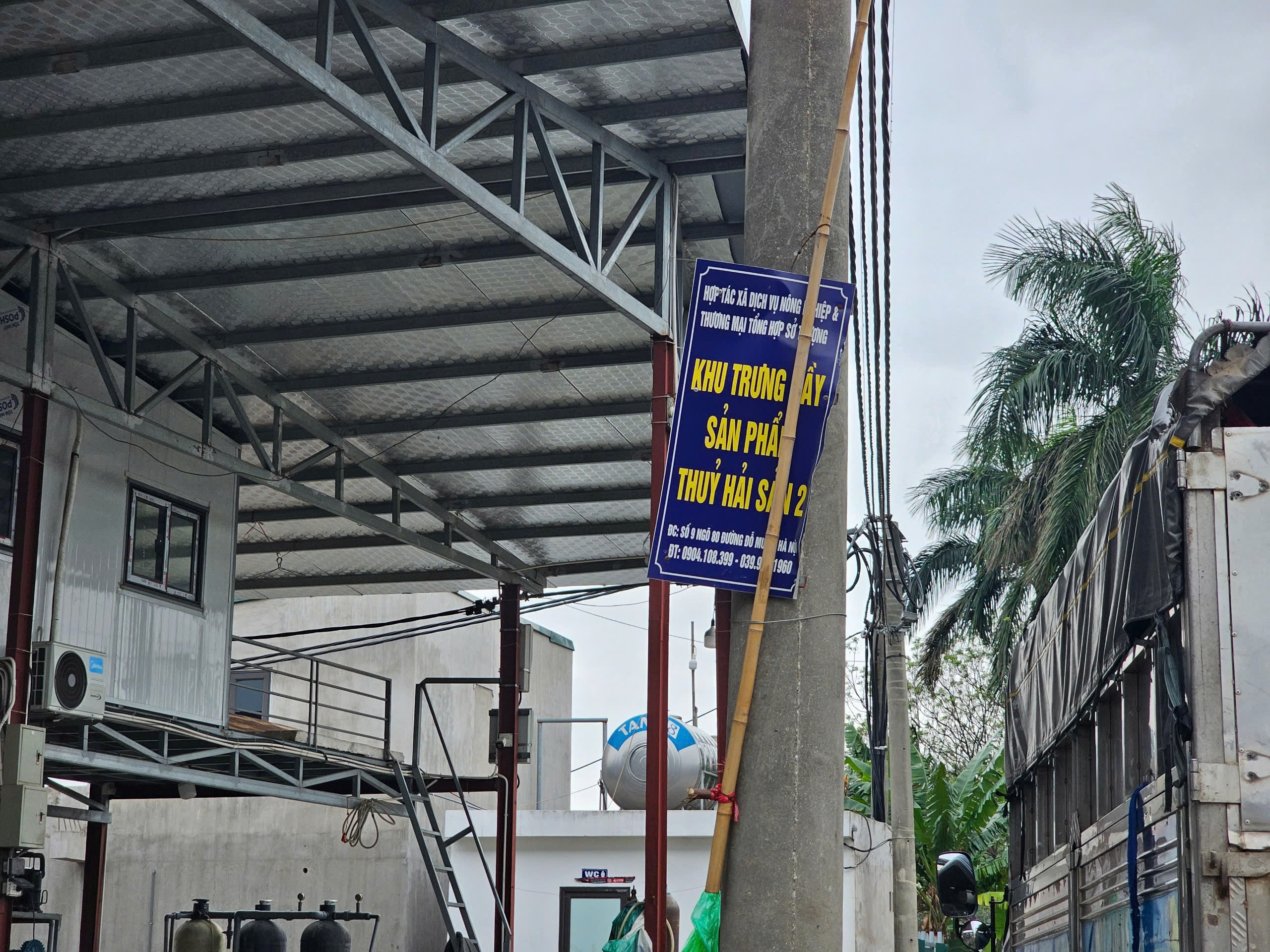Hà Nội: Điểm dự kiến tiếp nhận chợ cá Yên Sở cũng không đảm bảo điều kiện- Ảnh 2.
