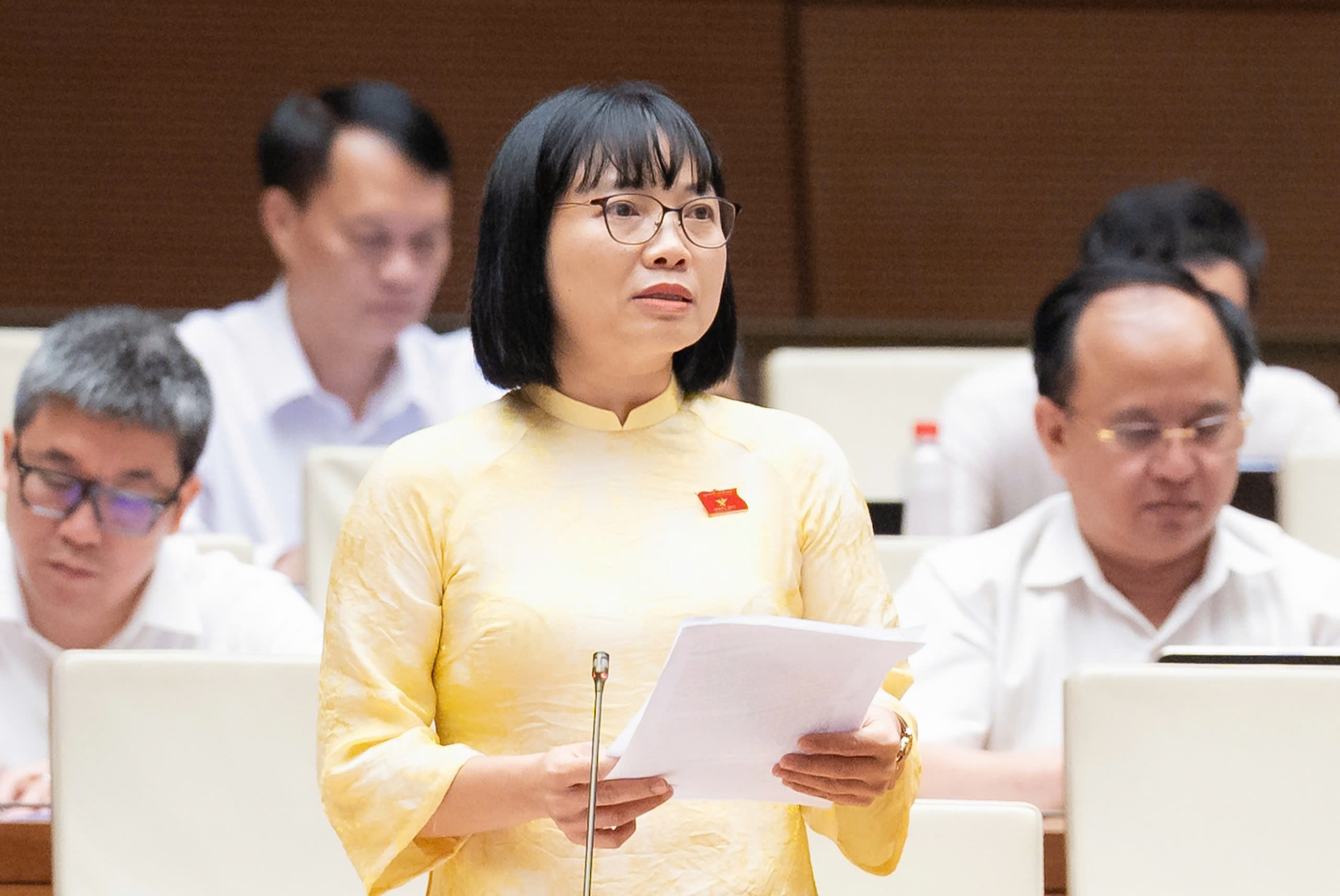 Đại biểu lo luật sư công 