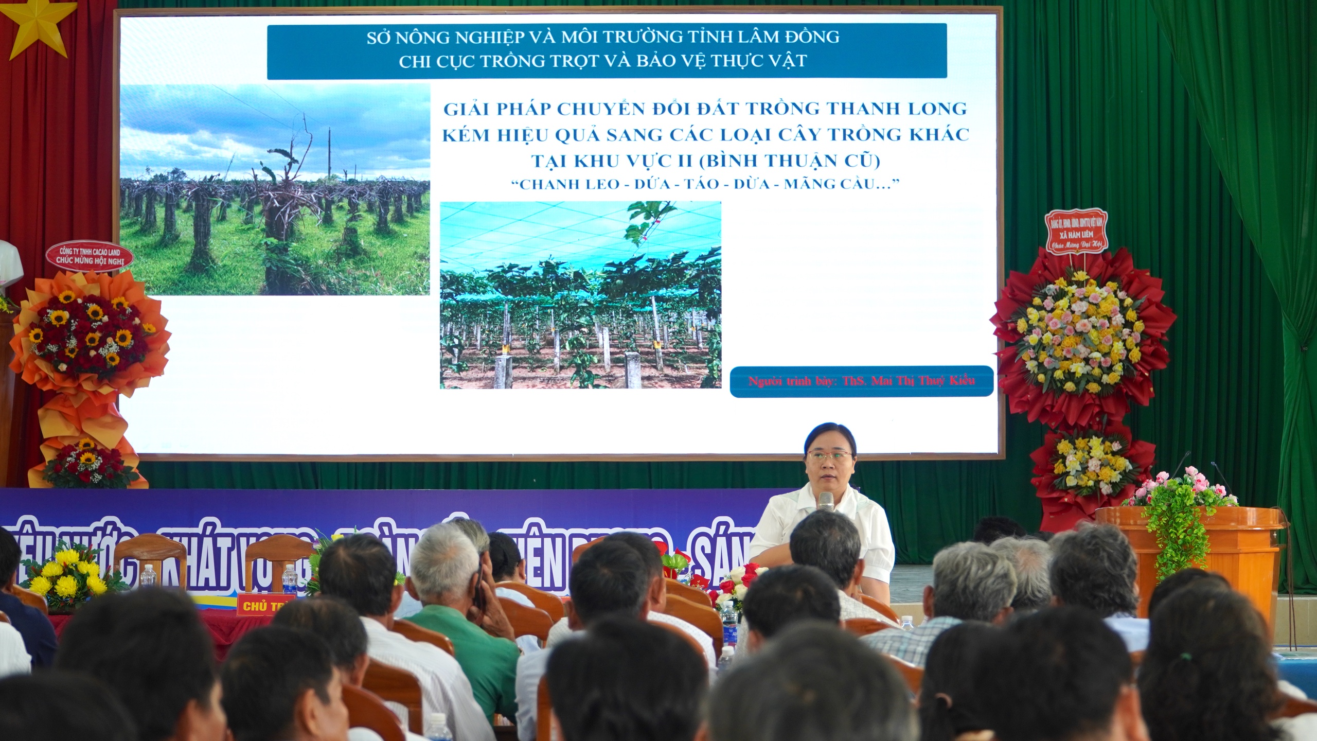 Chuyển đổi hàng nghìn ha thanh long: Lối ra nào cho nông dân Lâm Đồng? - Ảnh 5.