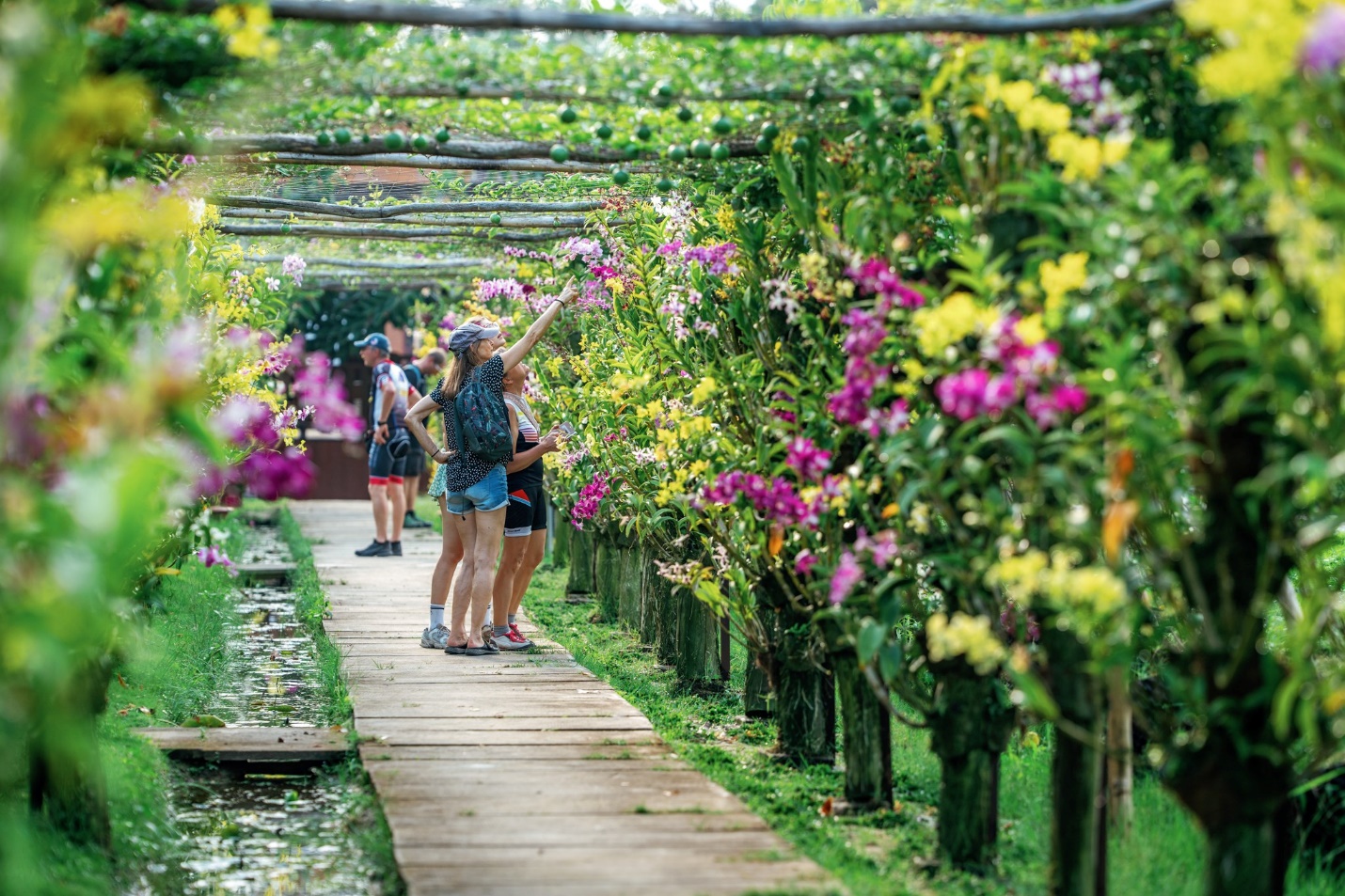 Nghệ thuật “tắm rừng” nơi biên viễn - Ảnh 1.