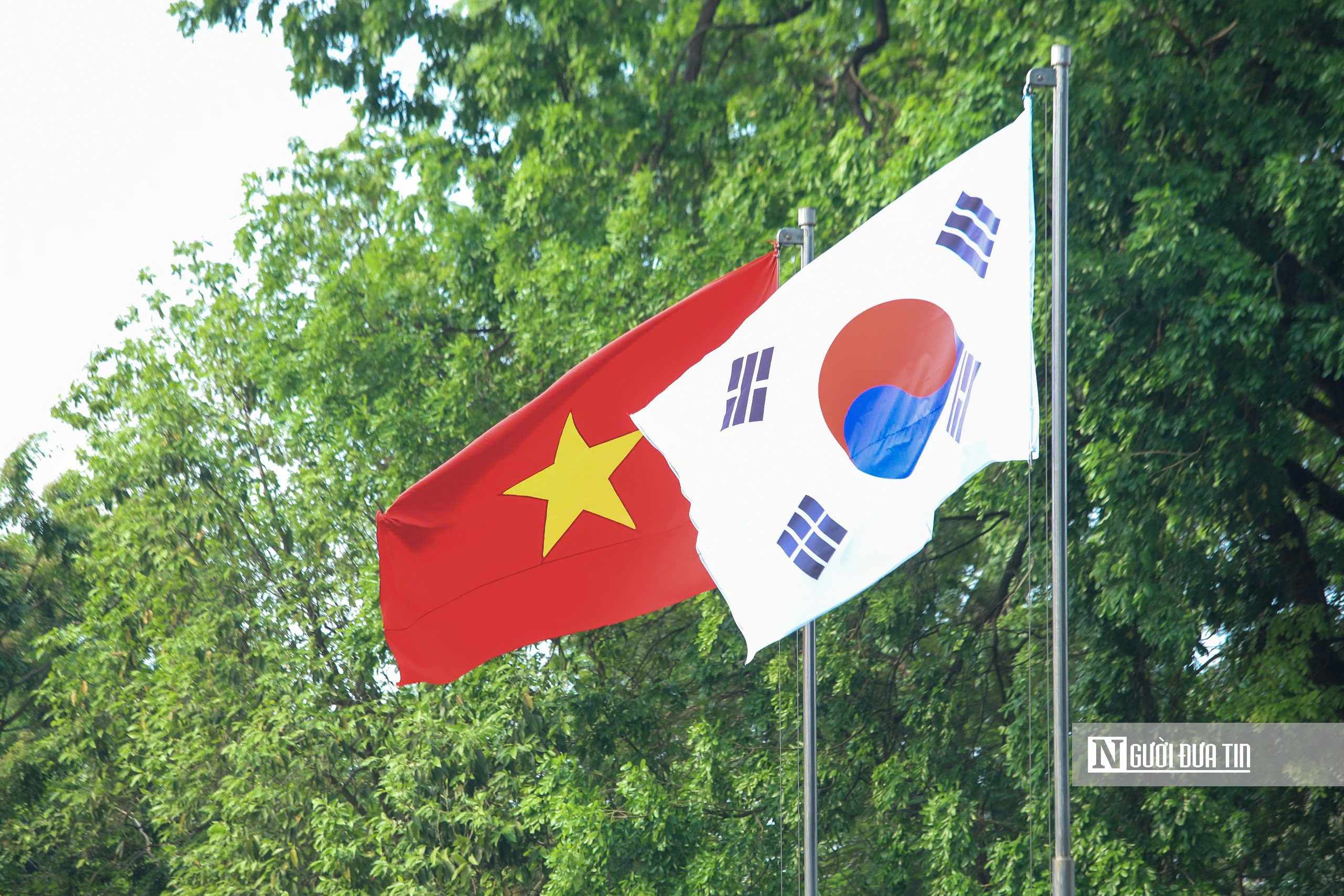 21 loạt đại b&aacute;c ch&agrave;o mừng Tổng thống H&agrave;n Quốc thăm Việt Nam - Ảnh 18.