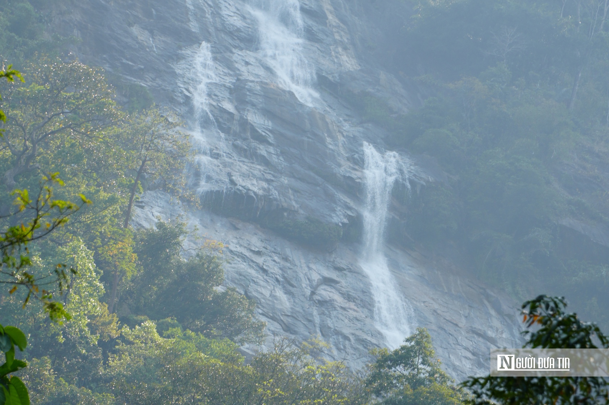 Ngắm d&ograve;ng Th&aacute;c Lụa cao 300 m&eacute;t giữa rừng nguy&ecirc;n sinh ở Quảng Ng&atilde;i- Ảnh 1.