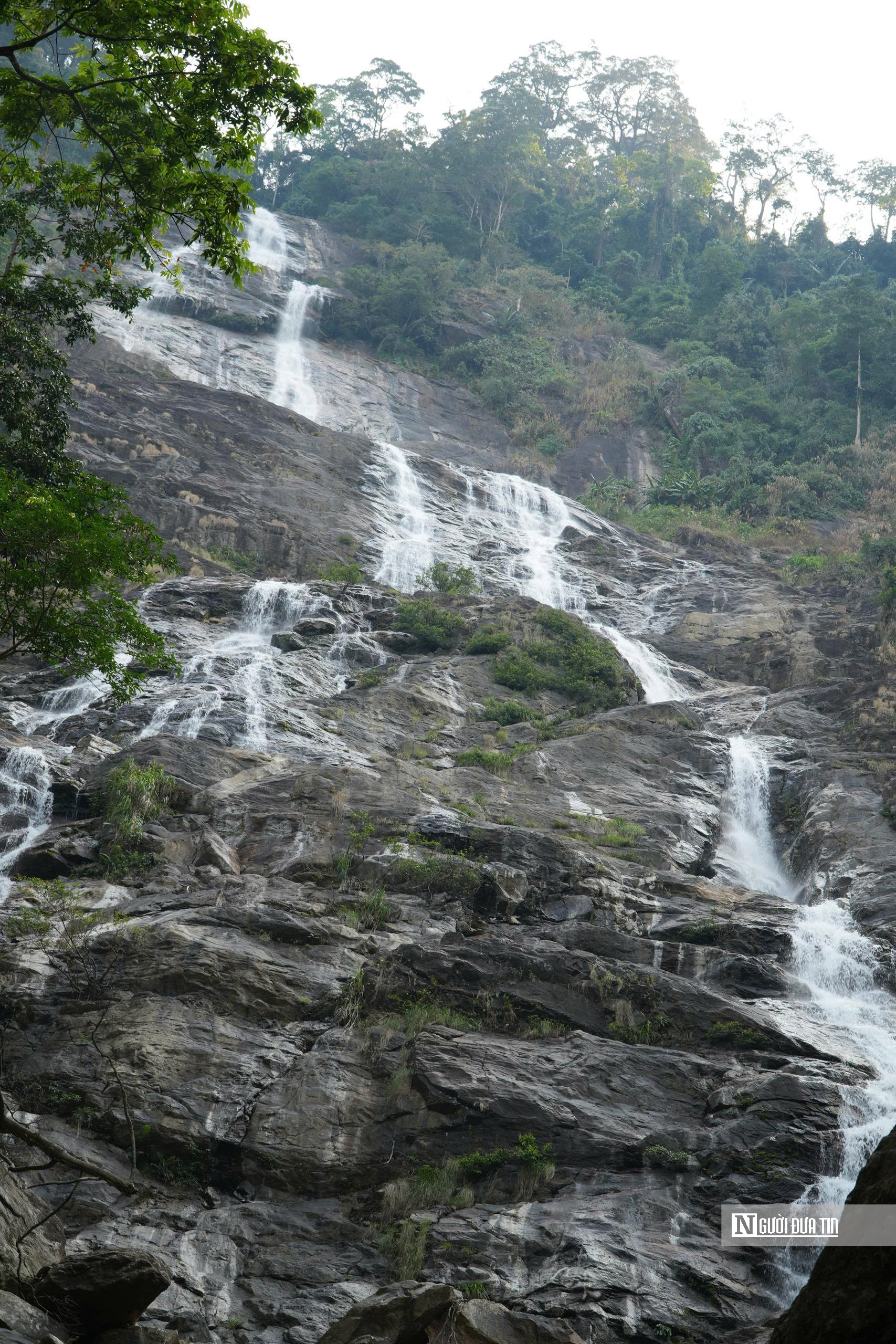 Ngắm d&ograve;ng Th&aacute;c Lụa cao 300 m&eacute;t giữa rừng nguy&ecirc;n sinh ở Quảng Ng&atilde;i- Ảnh 2.