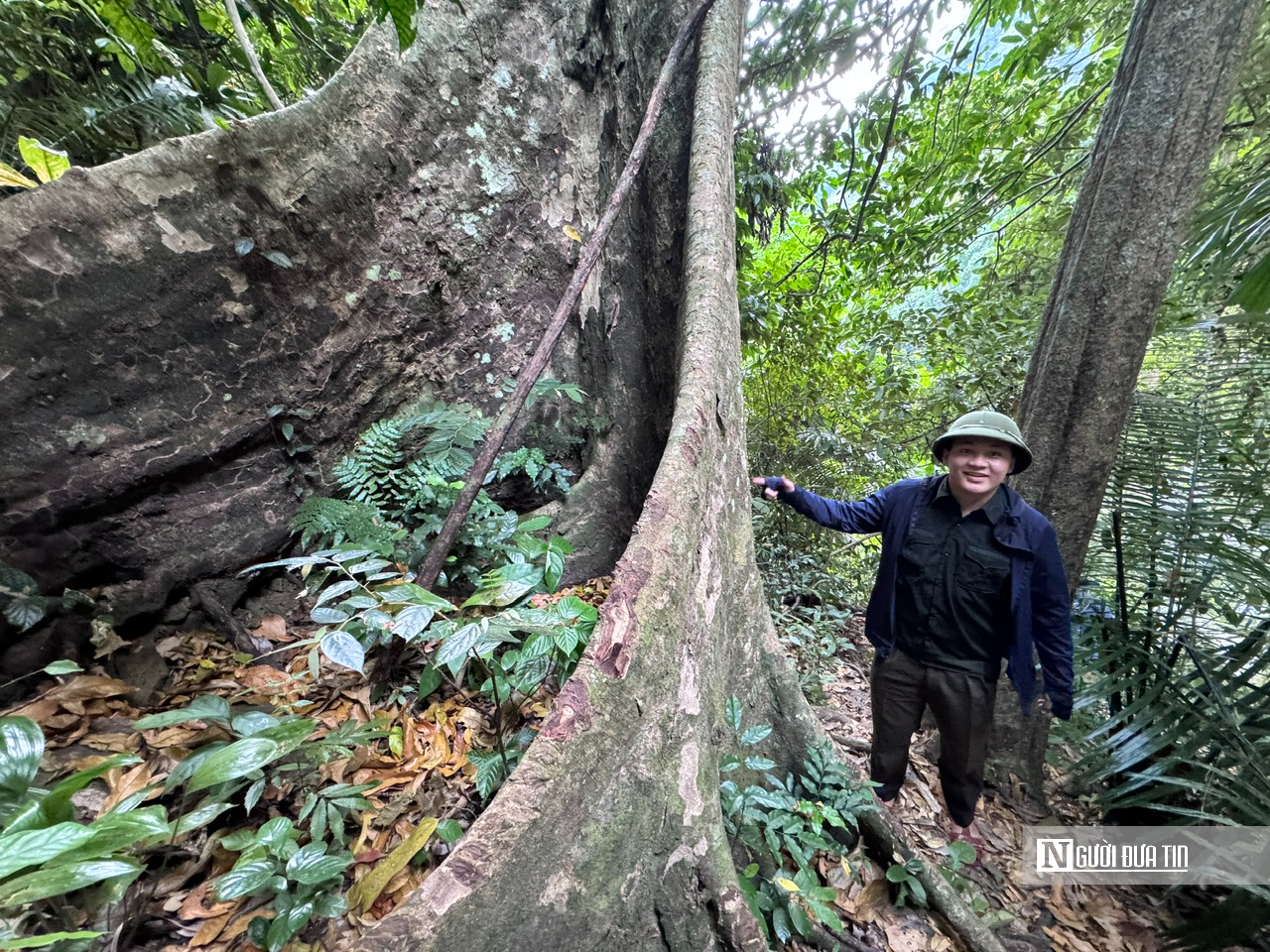 Ngắm d&ograve;ng Th&aacute;c Lụa cao 300 m&eacute;t giữa rừng nguy&ecirc;n sinh ở Quảng Ng&atilde;i- Ảnh 4.