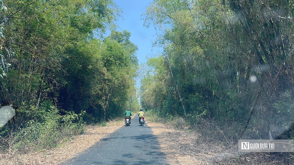 Canh lửa mùa khô: Giữ bình yên rừng Tràm Chim, Gò Tháp- Ảnh 4.