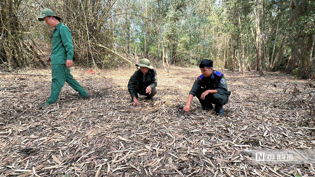 Canh lửa mùa khô: Giữ bình yên rừng Tràm Chim, Gò Tháp- Ảnh 6.