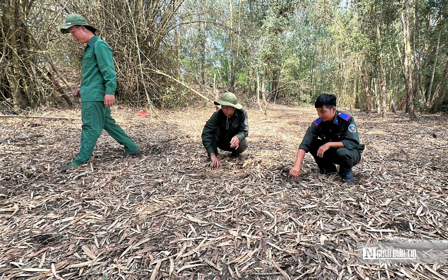 Công nghệ và con người bảo vệ rừng Tràm Chim mùa khô