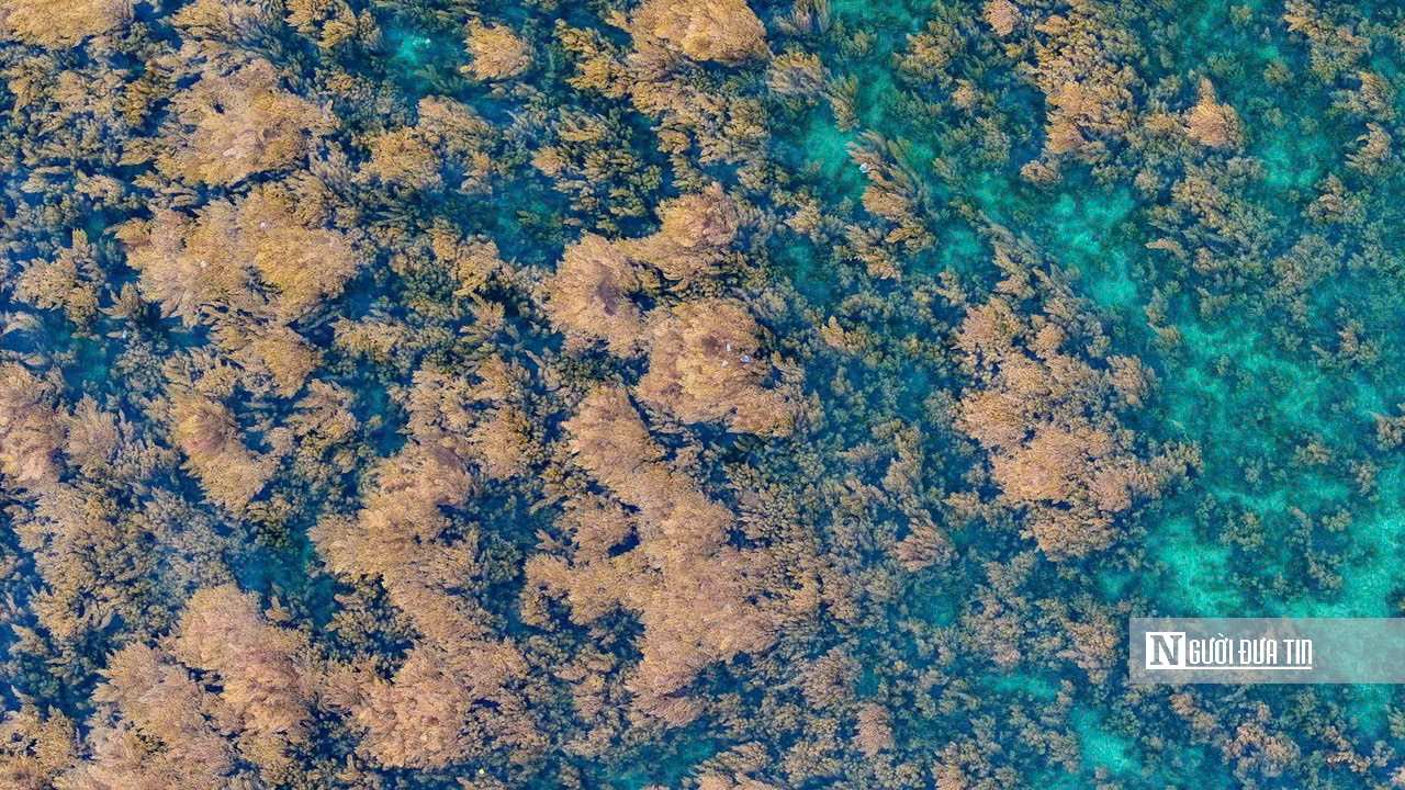 Mùa du lịch biển Quy Nhơn với nhiều trải nghiệm hấp dẫn- Ảnh 4.