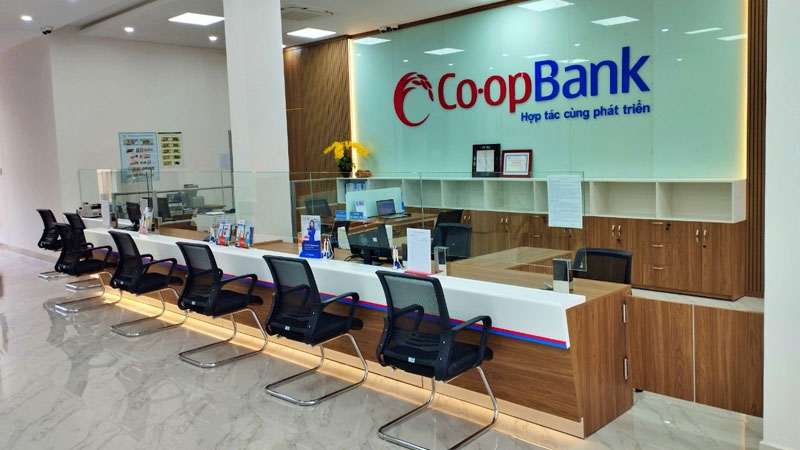 Thanh tra Ngân hàng Nhà nước chỉ ra nhiều tồn tại trong quản lý nhà đất tại Co-opBank- Ảnh 1.