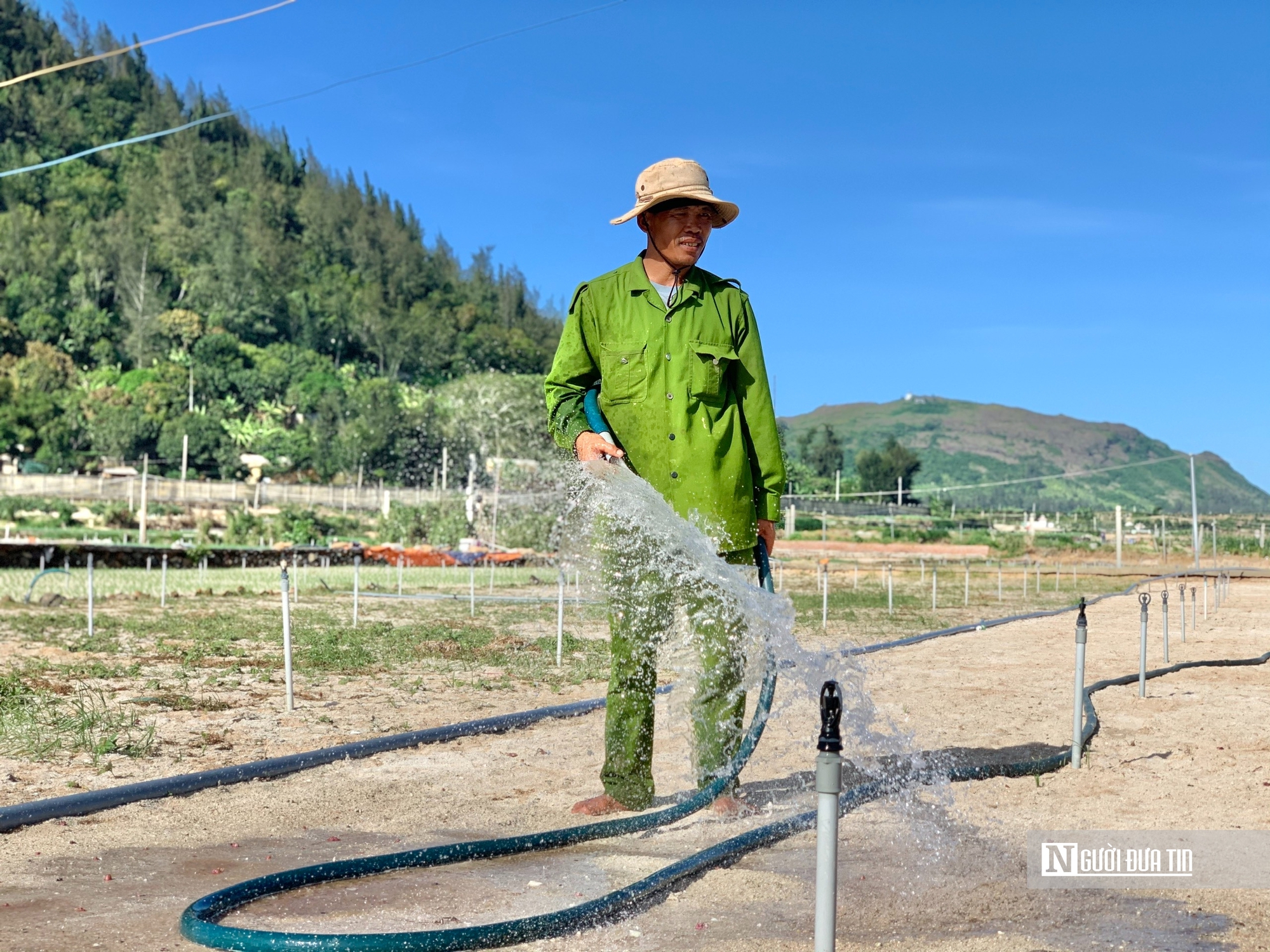 Nắng gắt k&eacute;o d&agrave;i, người d&acirc;n tr&ecirc;n đảo L&yacute; Sơn lo "kh&aacute;t nước" sinh hoạt, sản xuất- Ảnh 1.