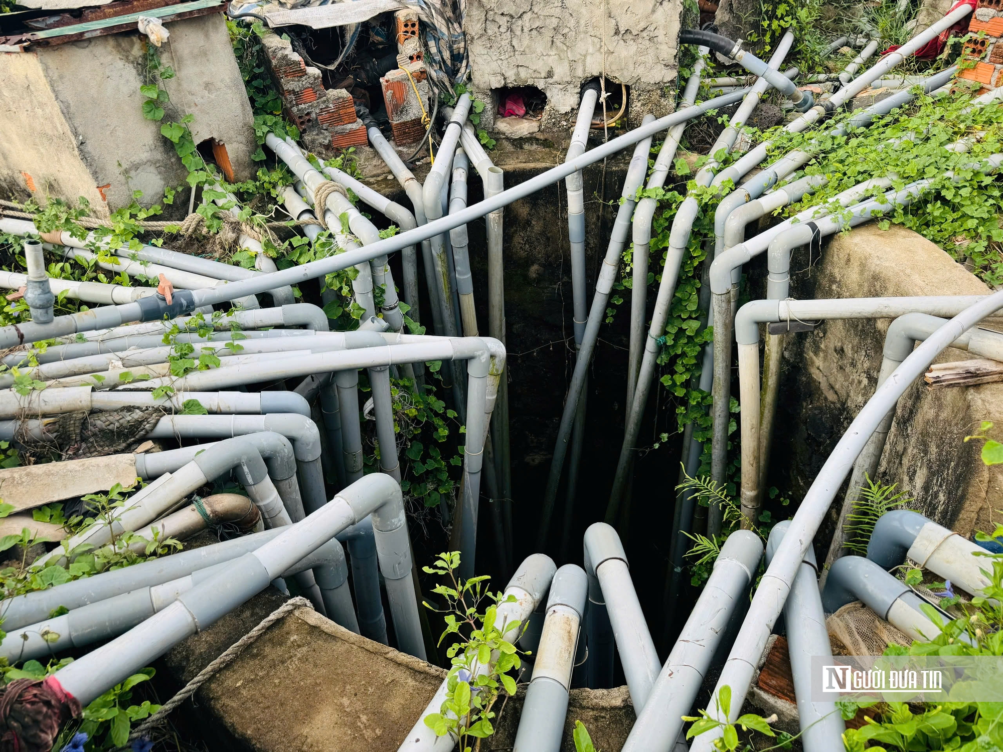 Nắng gắt k&eacute;o d&agrave;i, người d&acirc;n tr&ecirc;n đảo L&yacute; Sơn lo "kh&aacute;t nước" sinh hoạt, sản xuất- Ảnh 3.