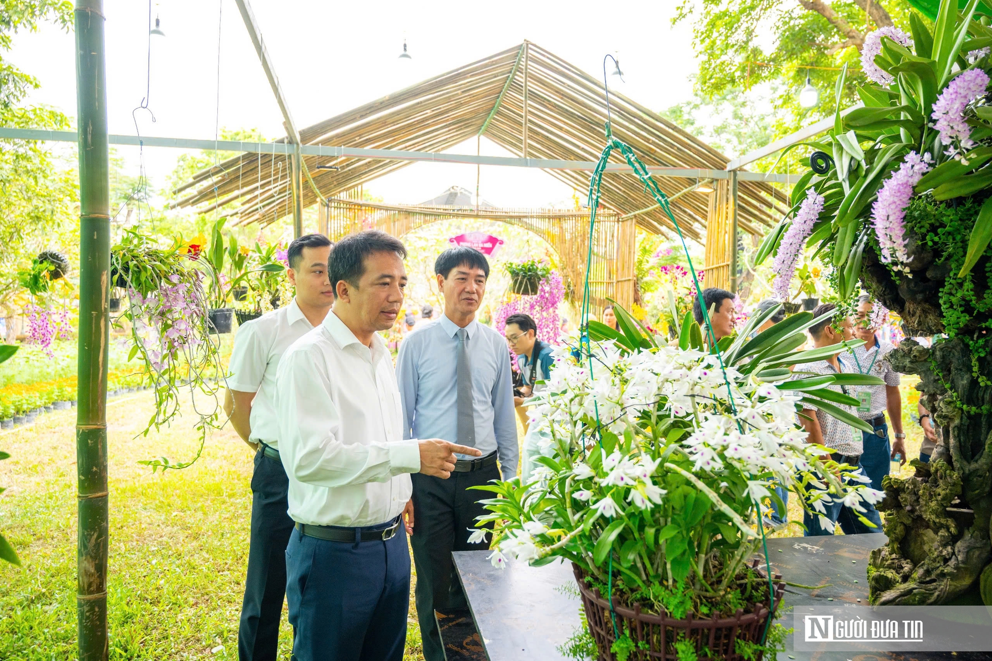 Ngắm phong lan khoe sắc trong khu vườn d&agrave;nh ri&ecirc;ng cho vua Triều Nguyễn- Ảnh 2.