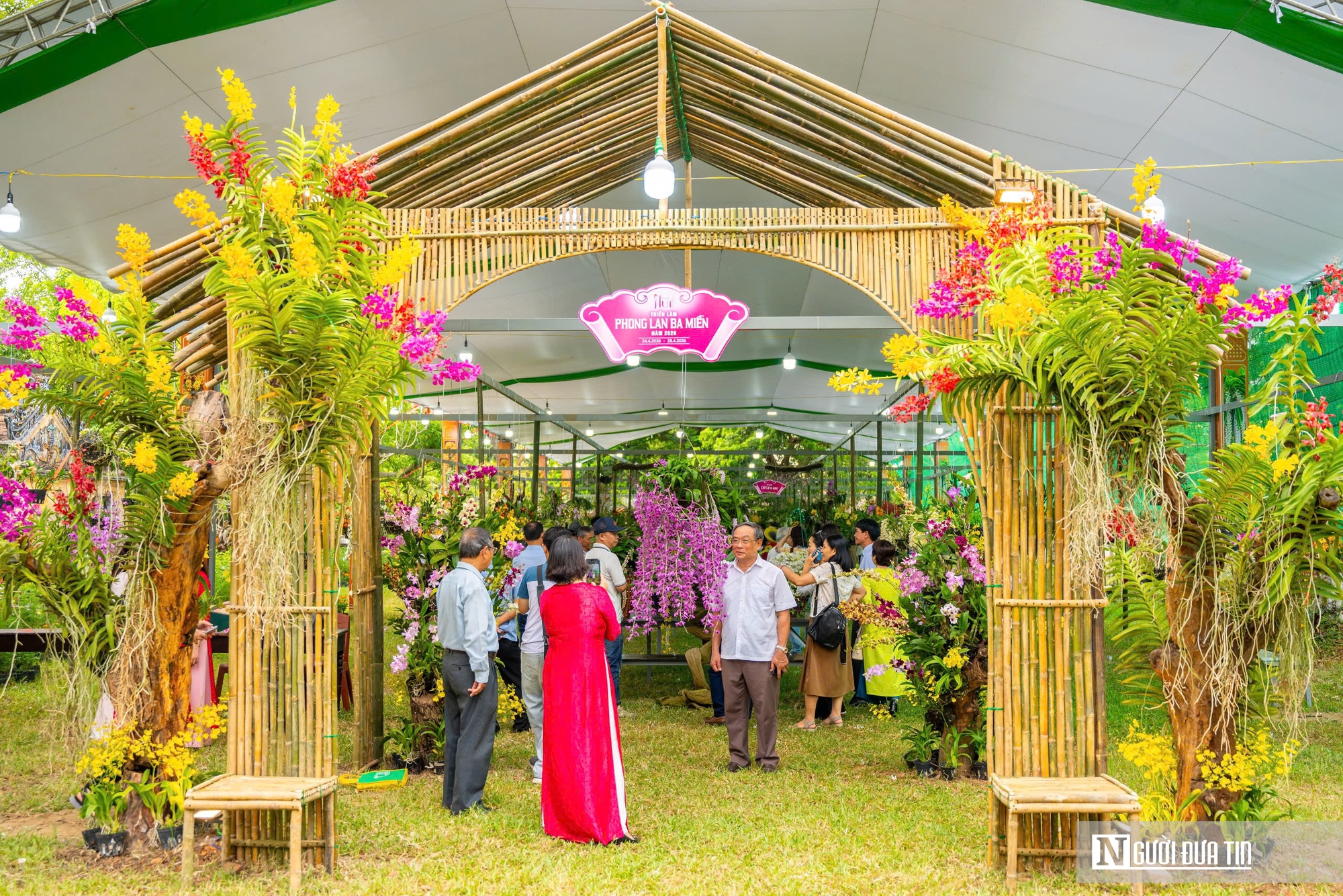 Ngắm phong lan khoe sắc trong khu vườn d&agrave;nh ri&ecirc;ng cho vua Triều Nguyễn- Ảnh 3.