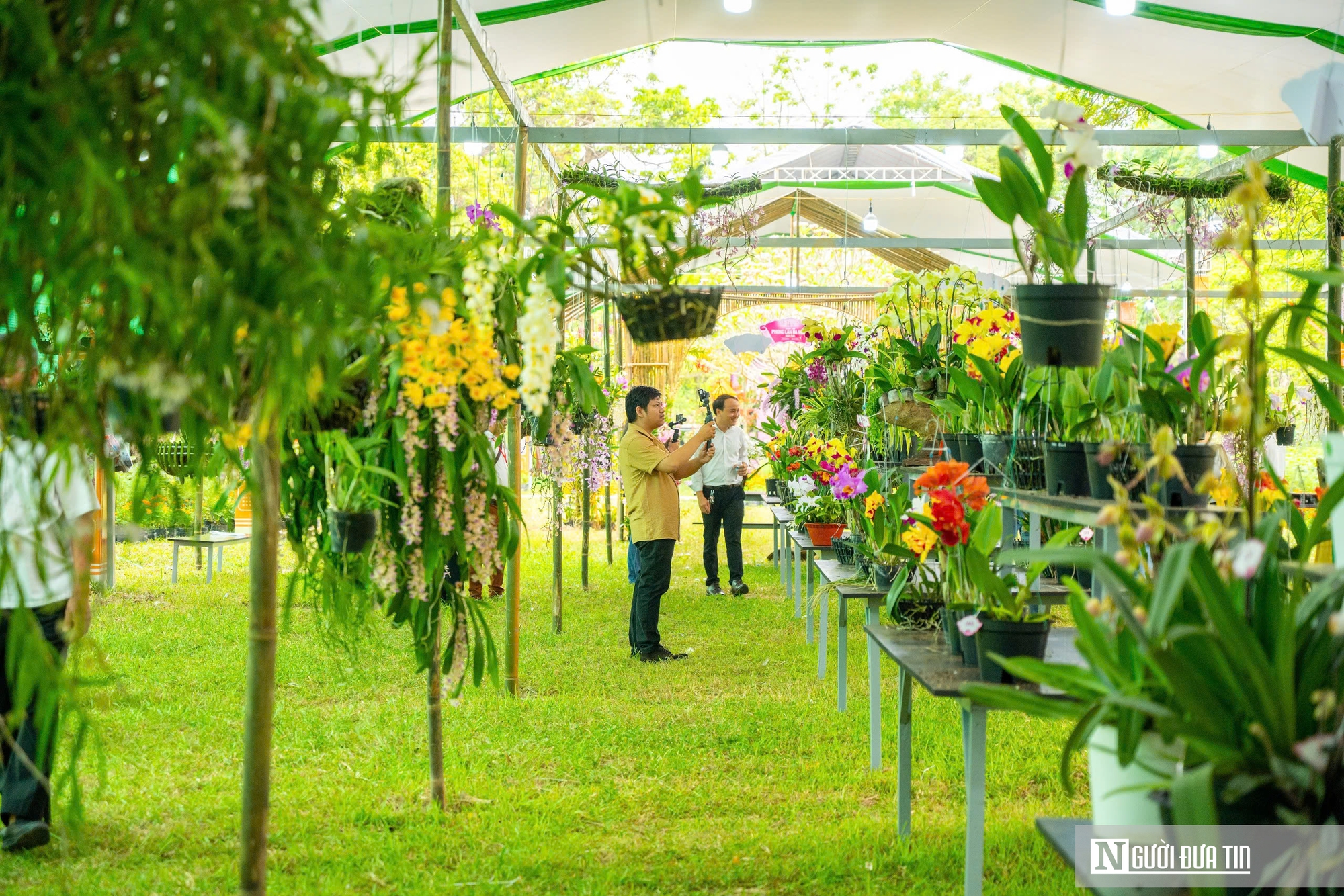 Ngắm phong lan khoe sắc trong khu vườn d&agrave;nh ri&ecirc;ng cho vua Triều Nguyễn- Ảnh 4.