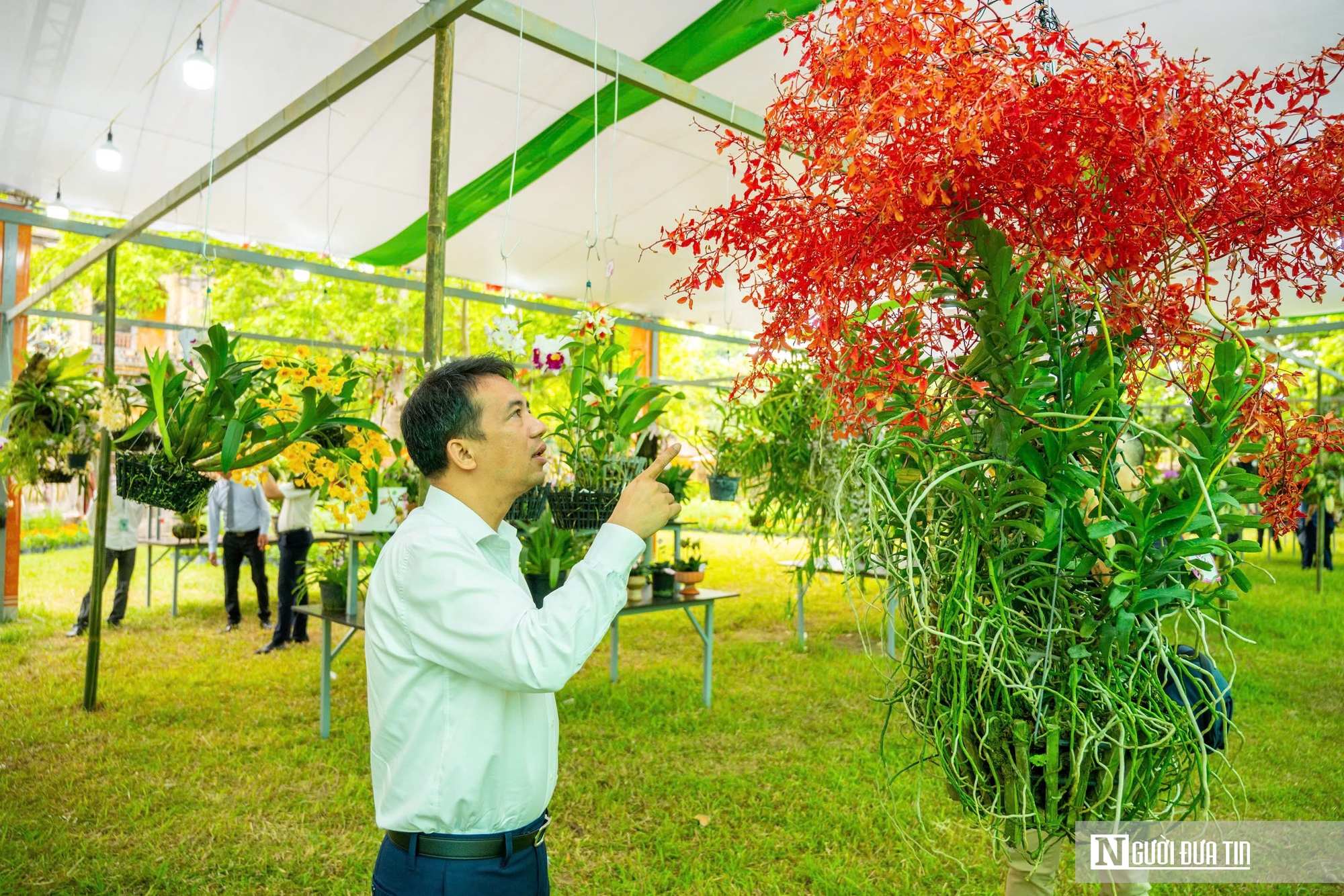 Ngắm phong lan khoe sắc trong khu vườn d&agrave;nh ri&ecirc;ng cho vua Triều Nguyễn- Ảnh 5.