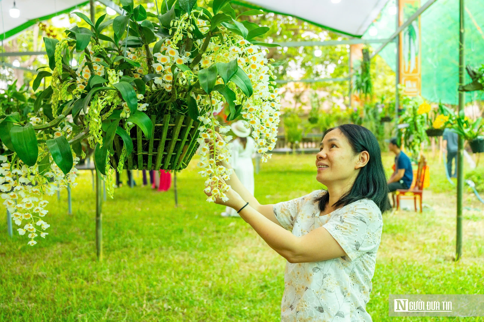 Ngắm phong lan khoe sắc trong khu vườn d&agrave;nh ri&ecirc;ng cho vua Triều Nguyễn- Ảnh 11.