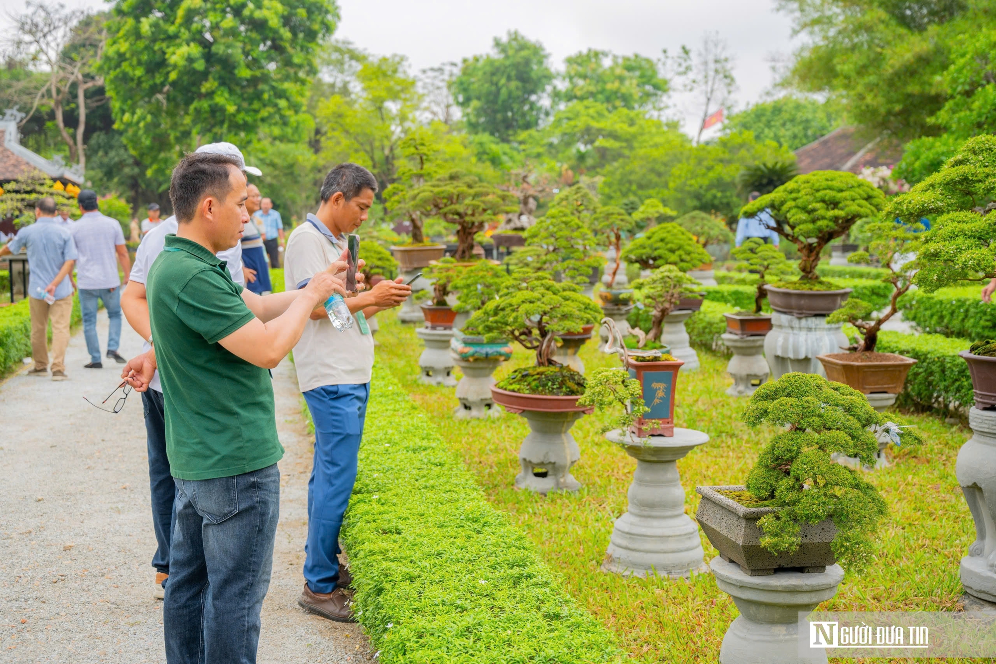 Ngắm phong lan khoe sắc trong khu vườn d&agrave;nh ri&ecirc;ng cho vua Triều Nguyễn- Ảnh 12.