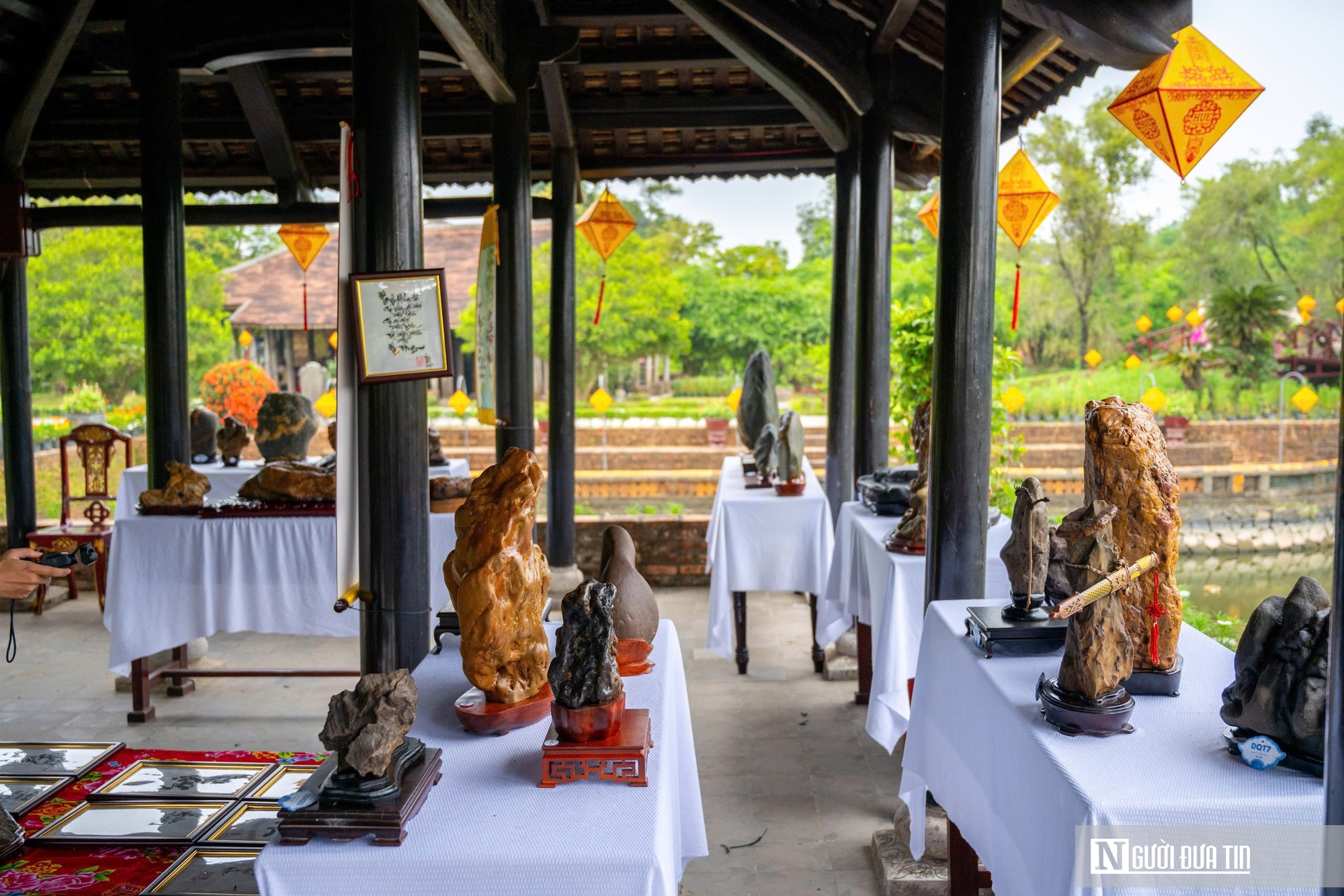 Ngắm phong lan khoe sắc trong khu vườn d&agrave;nh ri&ecirc;ng cho vua Triều Nguyễn- Ảnh 13.