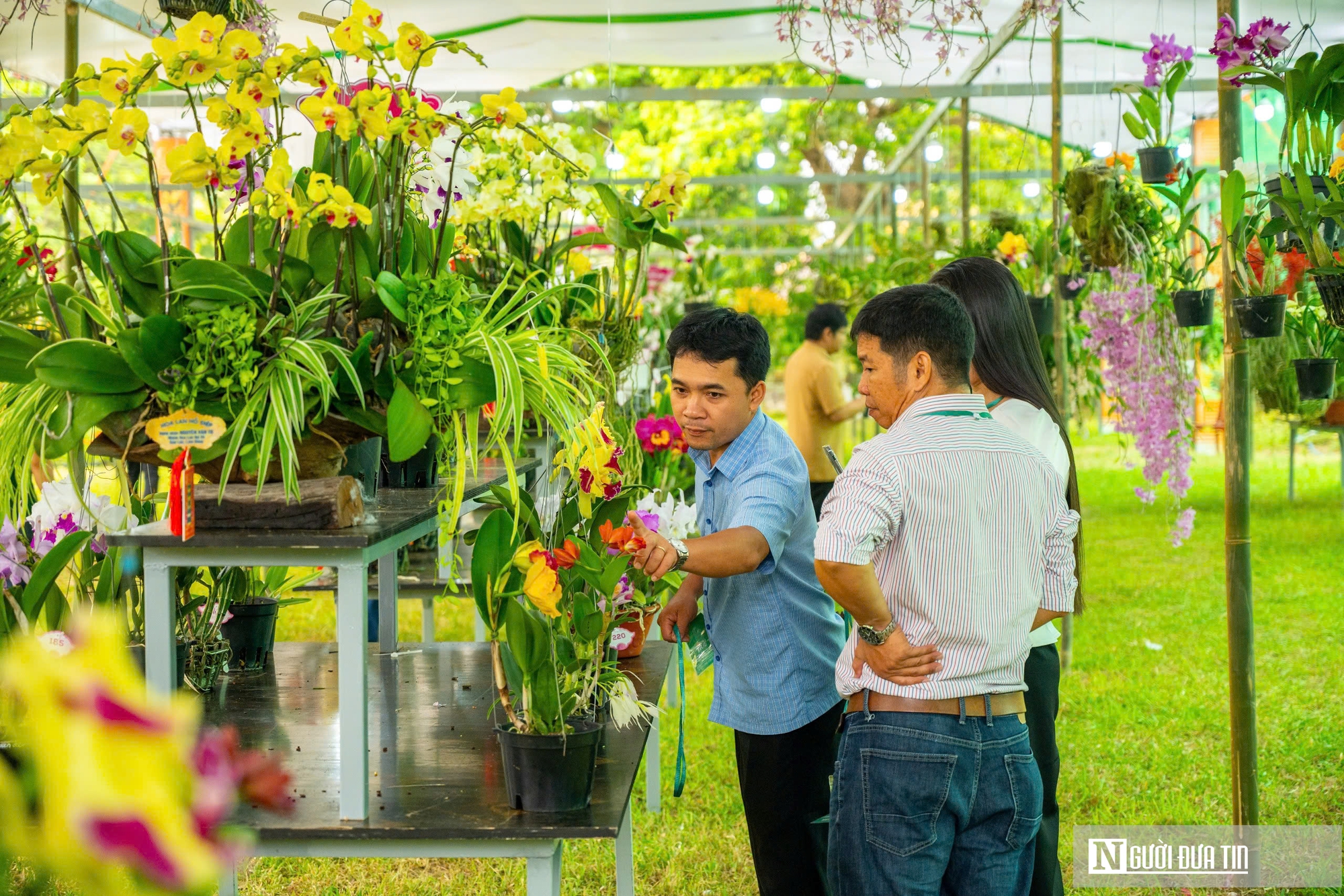 Ngắm phong lan khoe sắc trong khu vườn d&agrave;nh ri&ecirc;ng cho vua Triều Nguyễn- Ảnh 14.