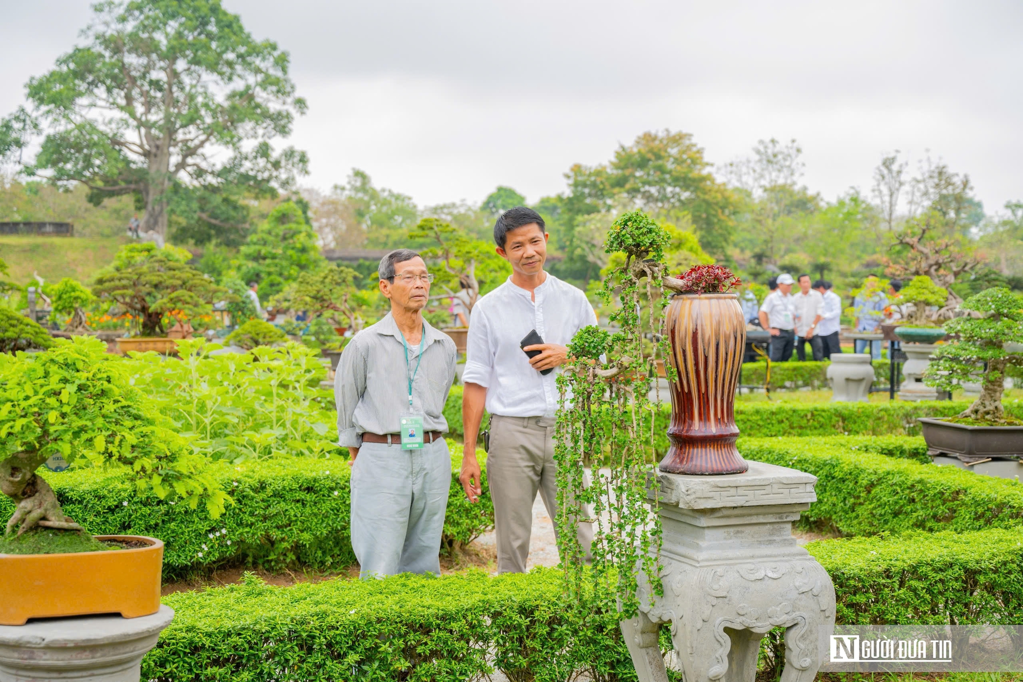 Ngắm phong lan khoe sắc trong khu vườn d&agrave;nh ri&ecirc;ng cho vua Triều Nguyễn- Ảnh 15.