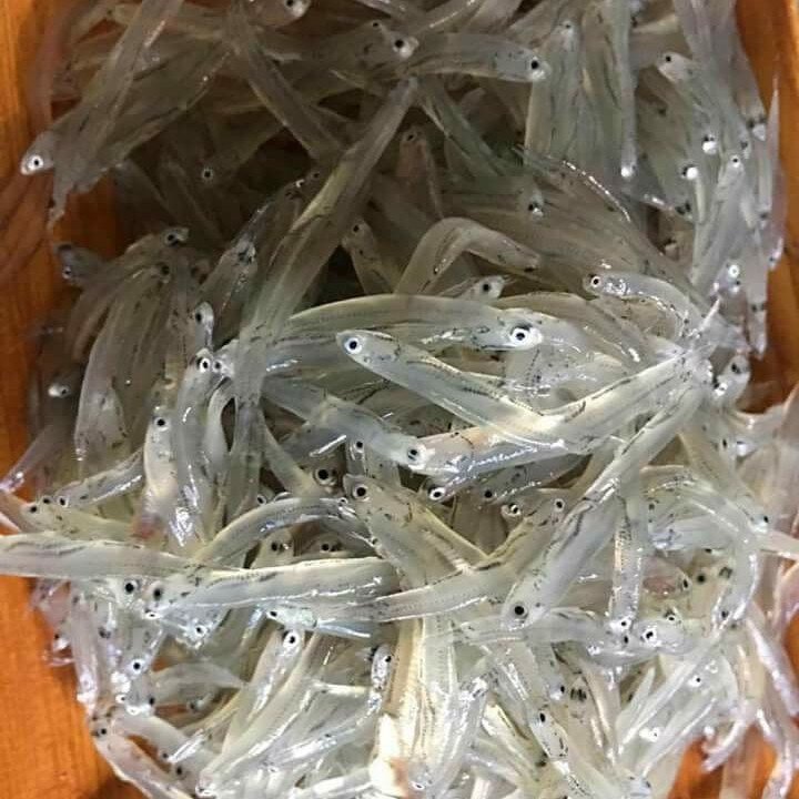 Đặc sản quý mỗi năm chỉ có một mùa, rất giàu canxi, từ già tới trẻ ai cũng mê - Ảnh 1.