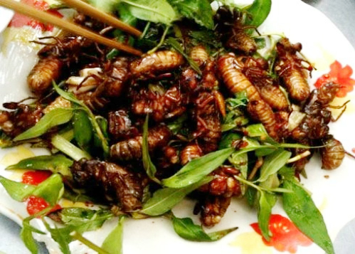 Ăn ve sầu, nam sinh 17 tuổi phải cấp cứu l&uacute;c nửa đ&ecirc;m- Ảnh 2.