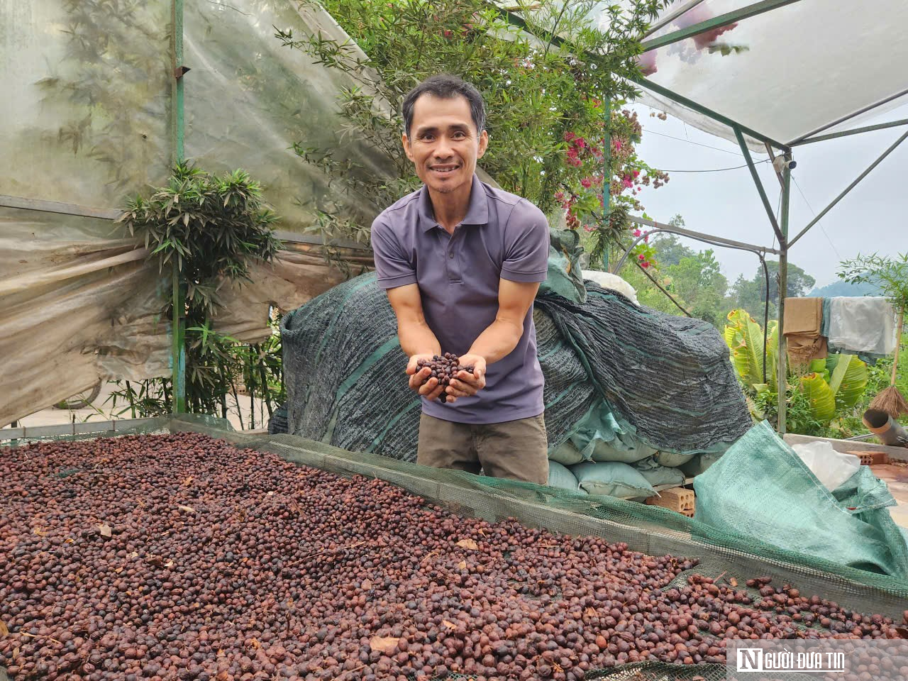 Hành trình tìm lại danh tiếng cà phê Khe Sanh trên bản đồ cà phê Việt Nam và thế giới- Ảnh 1.