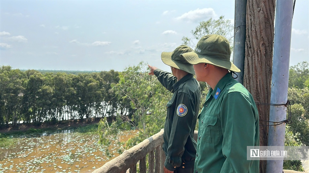 “Hồi sinh” Tràm Chim, hàng nghìn cánh chim trở lại - Ảnh 9.