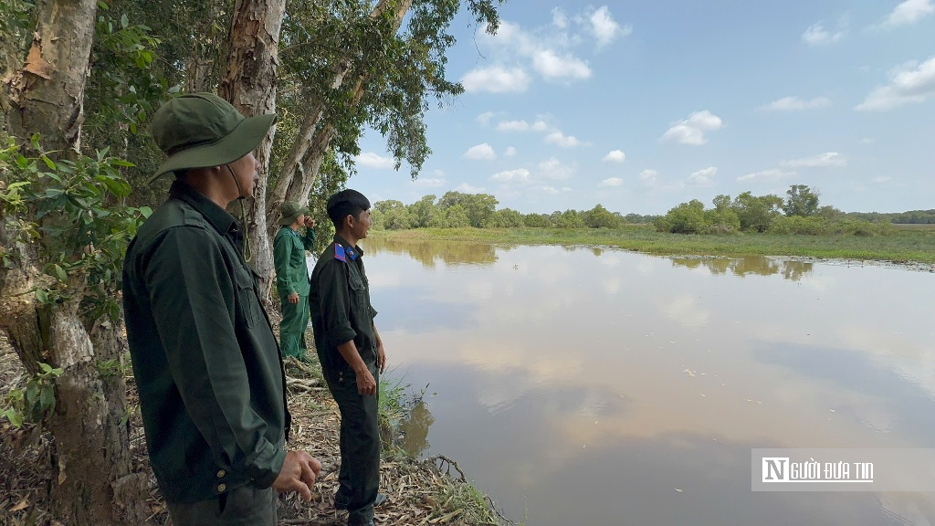 “Hồi sinh” Tràm Chim, hàng nghìn cánh chim trở lại - Ảnh 11.