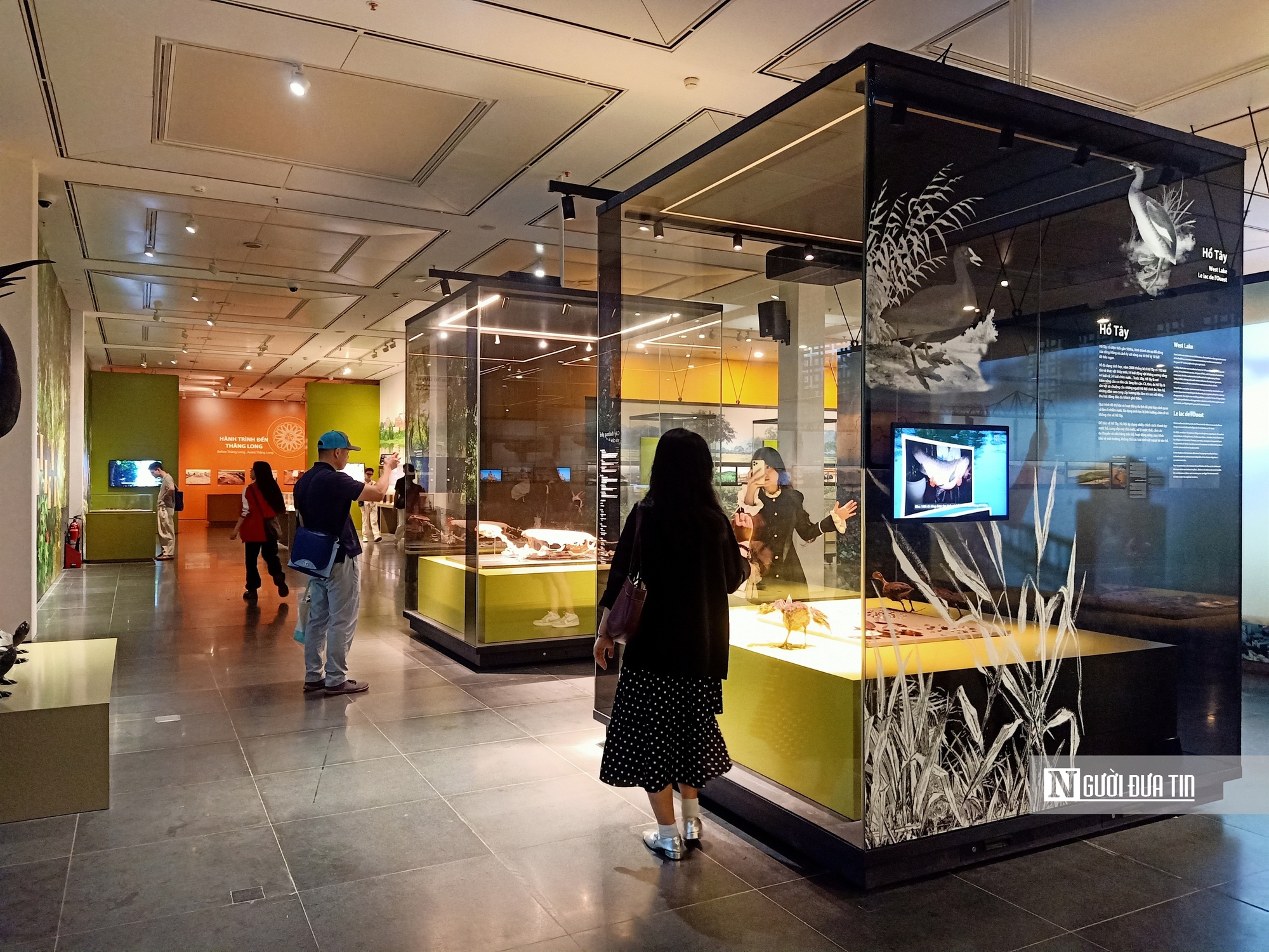 4 bảo vật "đỉnh cao" tại Bảo t&agrave;ng H&agrave; Nội - Ảnh 1.