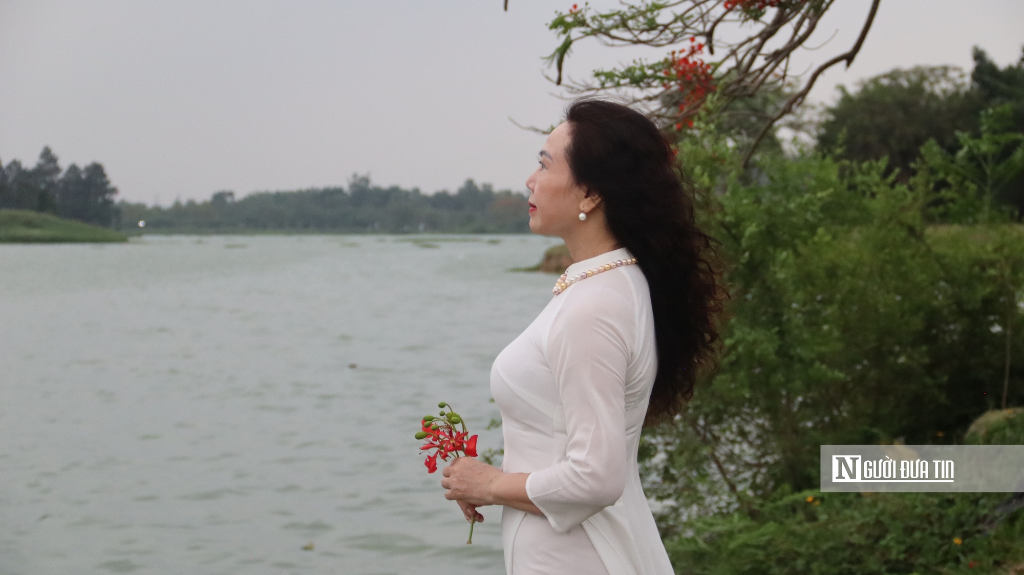 Người d&acirc;n đổ về ngắm "c&acirc;y phượng đẹp nhất H&agrave; Nội" - Ảnh 5.