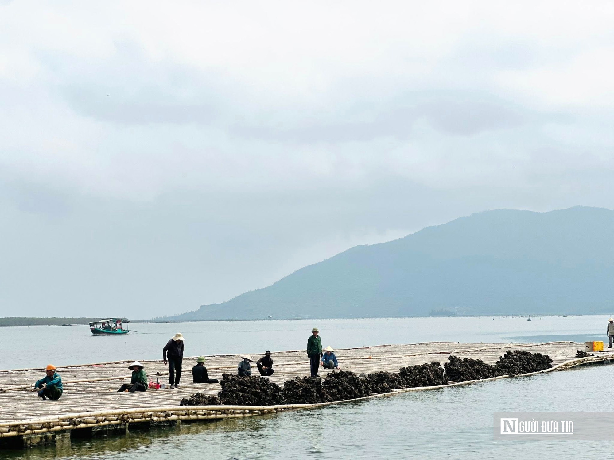 Nu&ocirc;i con &ldquo;thần dược&rdquo; vỏ cứng th&acirc;n mềm, anh n&ocirc;ng d&acirc;n thu tiền tỷ mỗi vụ- Ảnh 1.