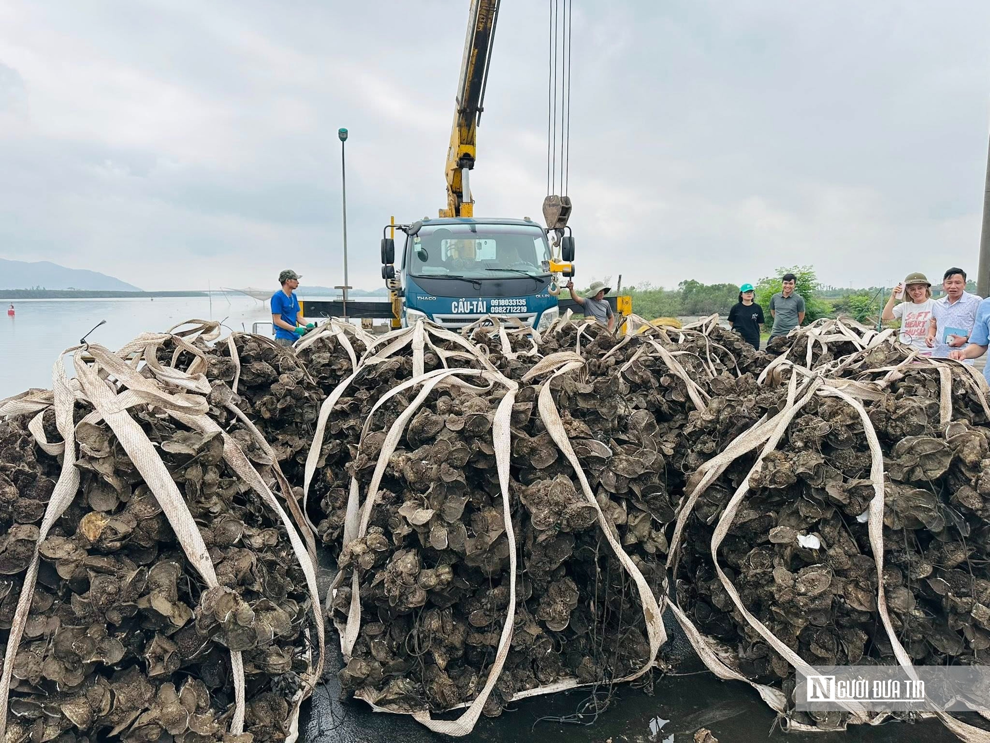 Nu&ocirc;i con &ldquo;thần dược&rdquo; vỏ cứng th&acirc;n mềm, anh n&ocirc;ng d&acirc;n thu tiền tỷ mỗi vụ- Ảnh 5.