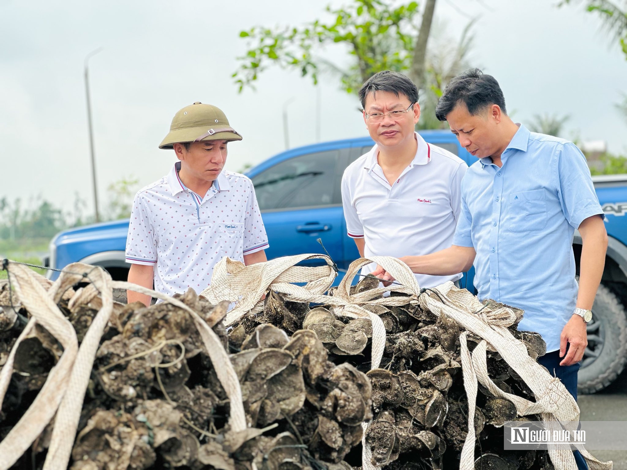 Nu&ocirc;i con &ldquo;thần dược&rdquo; vỏ cứng th&acirc;n mềm, anh n&ocirc;ng d&acirc;n thu tiền tỷ mỗi vụ- Ảnh 6.