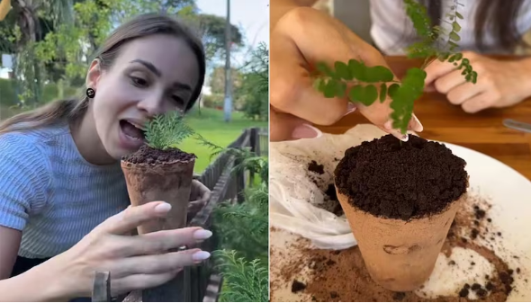 C&ocirc; g&aacute;i trẻ ng&agrave;y n&agrave;o cũng ăn đất s&eacute;t, l&yacute; do ph&iacute;a sau khiến h&agrave;ng triệu người nổi da g&agrave; - Ảnh 2.