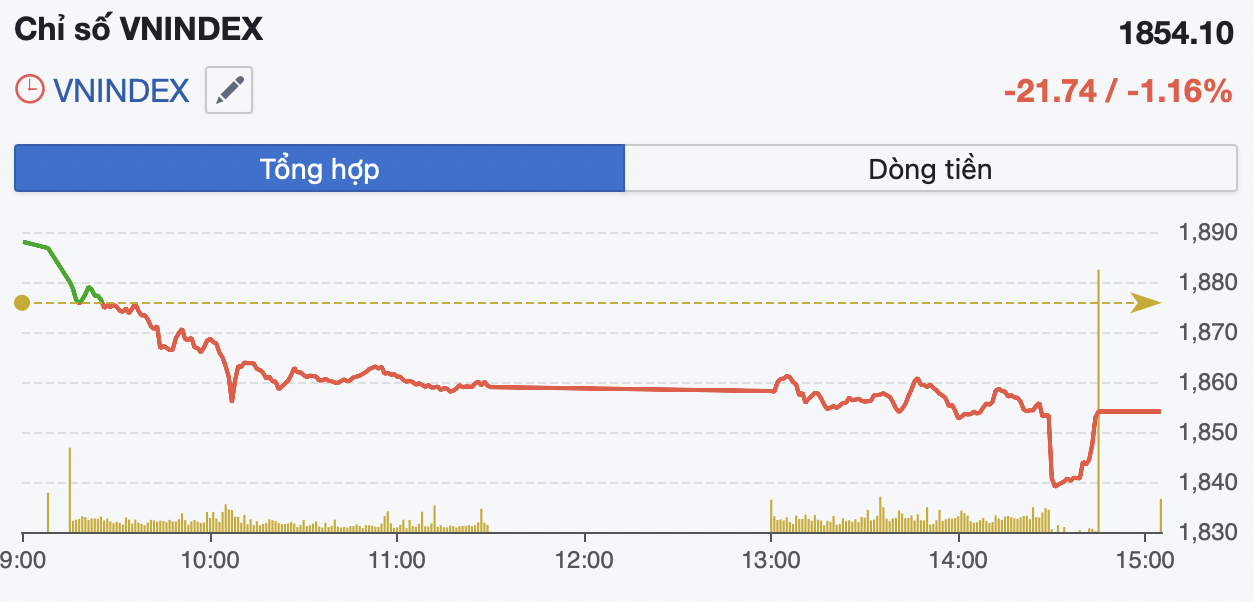 Áp lực bán gia tăng trước kỳ nghỉ lễ, VN-Index giảm hơn 21 điểm- Ảnh 1.