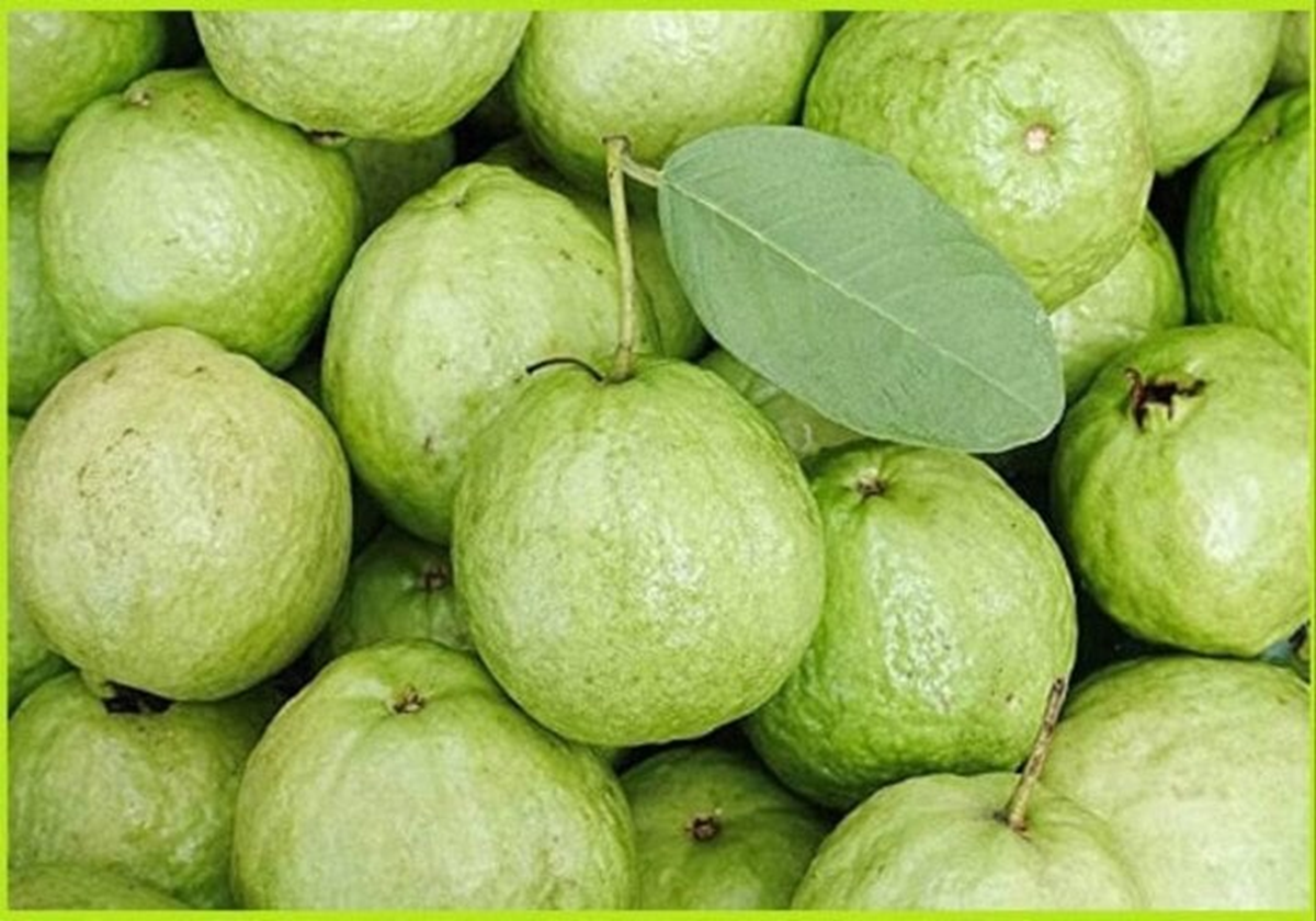 Không phải chanh, đây mới là trái cây giàu vitamin C số một ít ai ngờ - Ảnh 1.