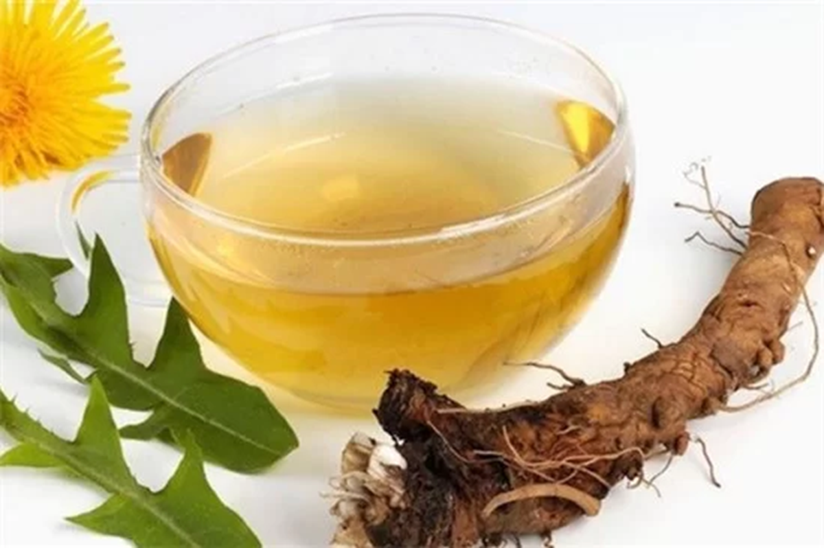 Loài cây quen thuộc mọc đầy vườn ở Việt Nam: Tưởng vô dụng nhưng lại là “thần dược” quý - Ảnh 2.