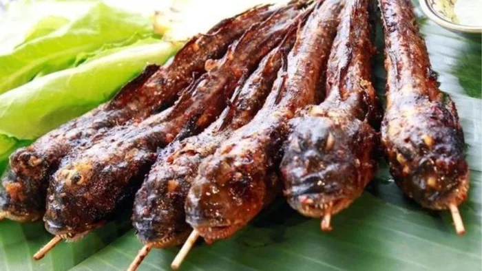 Loại cá biết leo cây, biết chạy nhảy trên cạn, là đặc sản trứ danh miền Tây  - Ảnh 7.